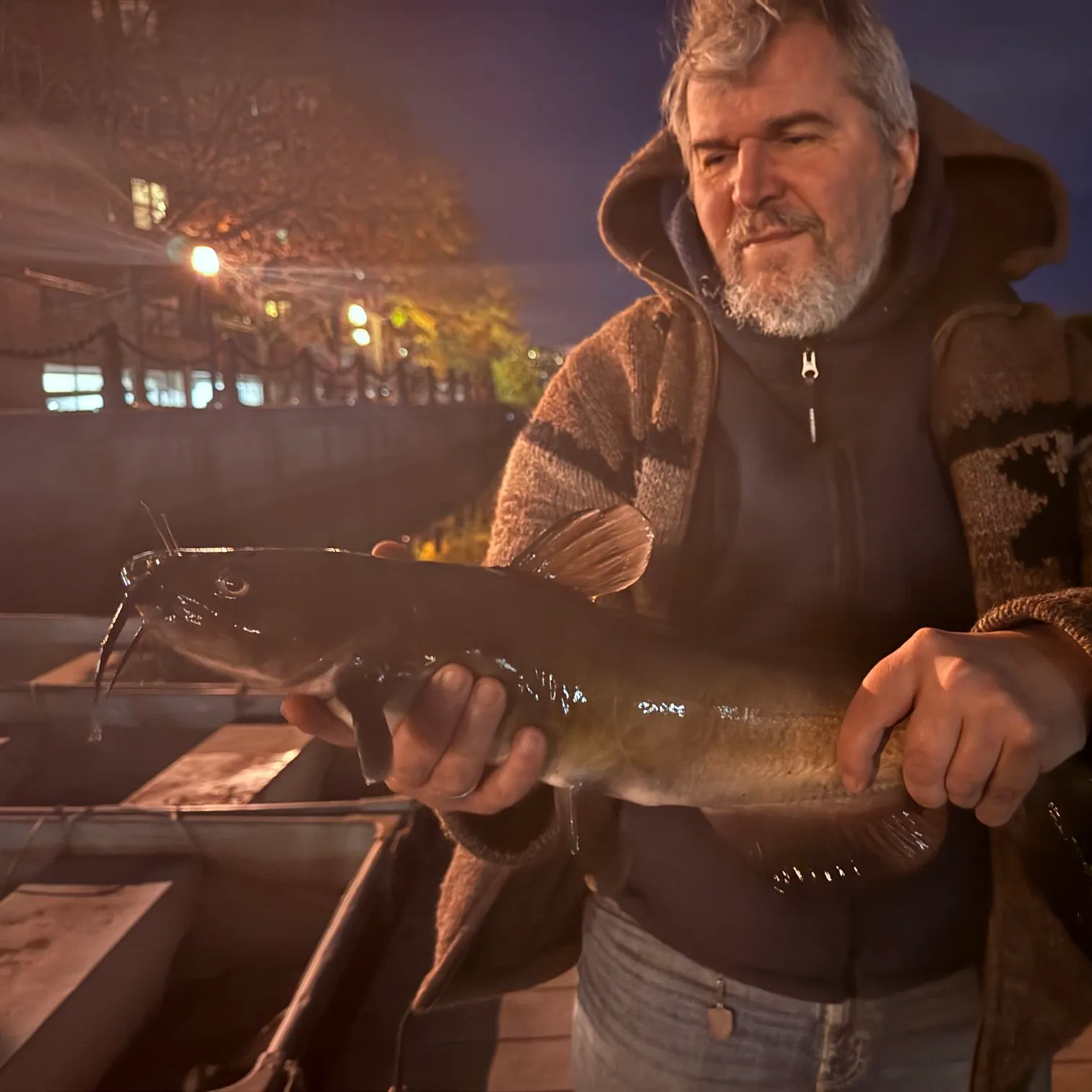 Channel catfish caught on Fishbrain