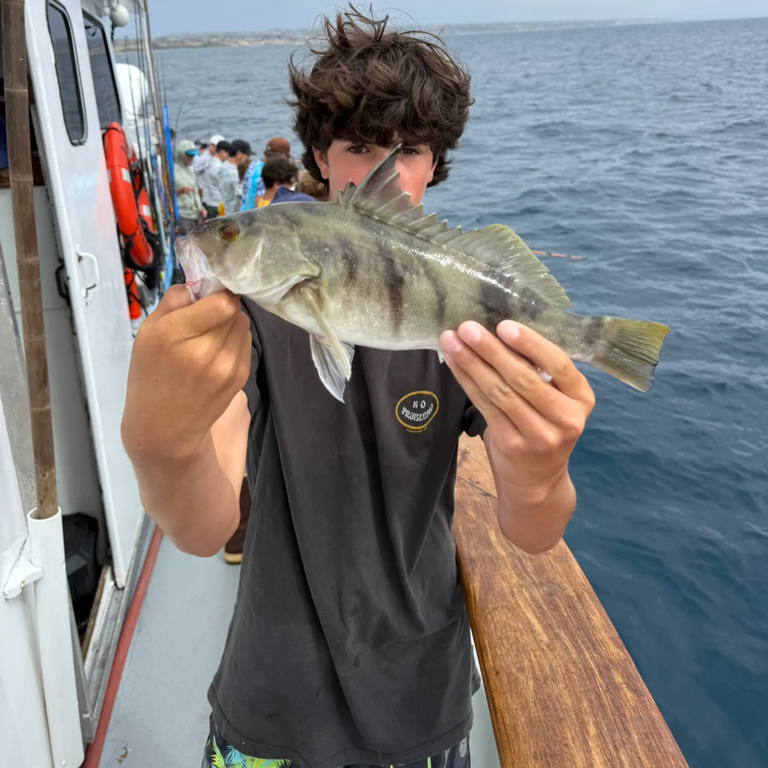 The most recent Barred sand bass catches on Fishbrain