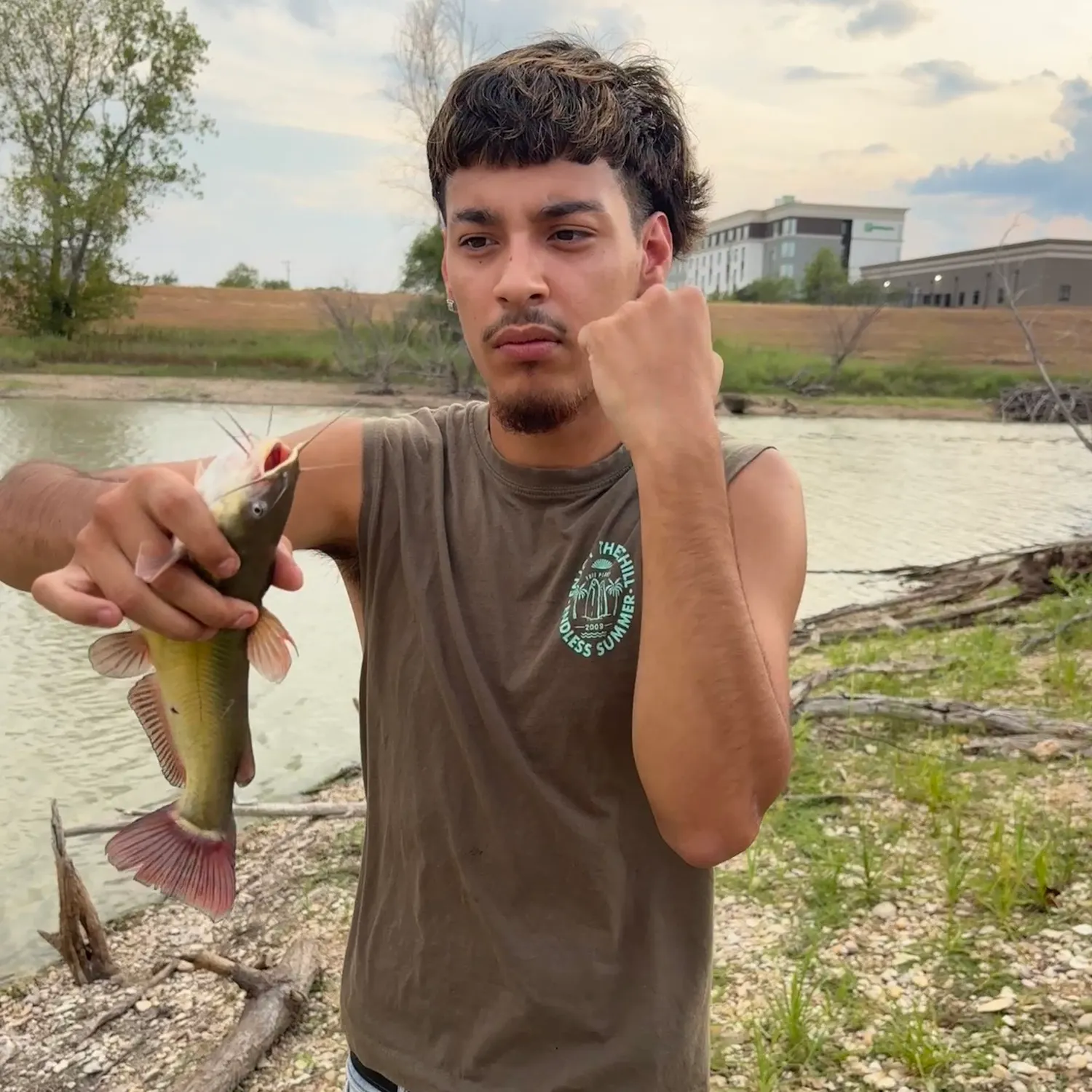 Yellow bullhead caught on Fishbrain