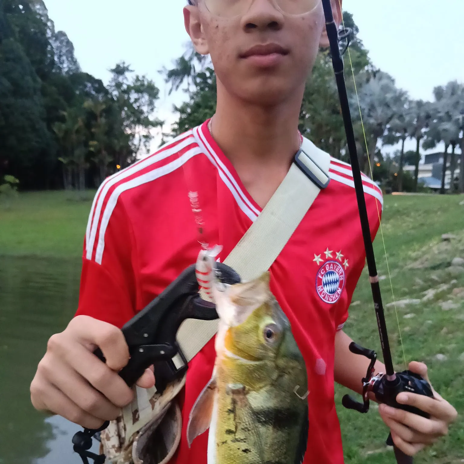 The most recent Speckled peacock bass catches on Fishbrain