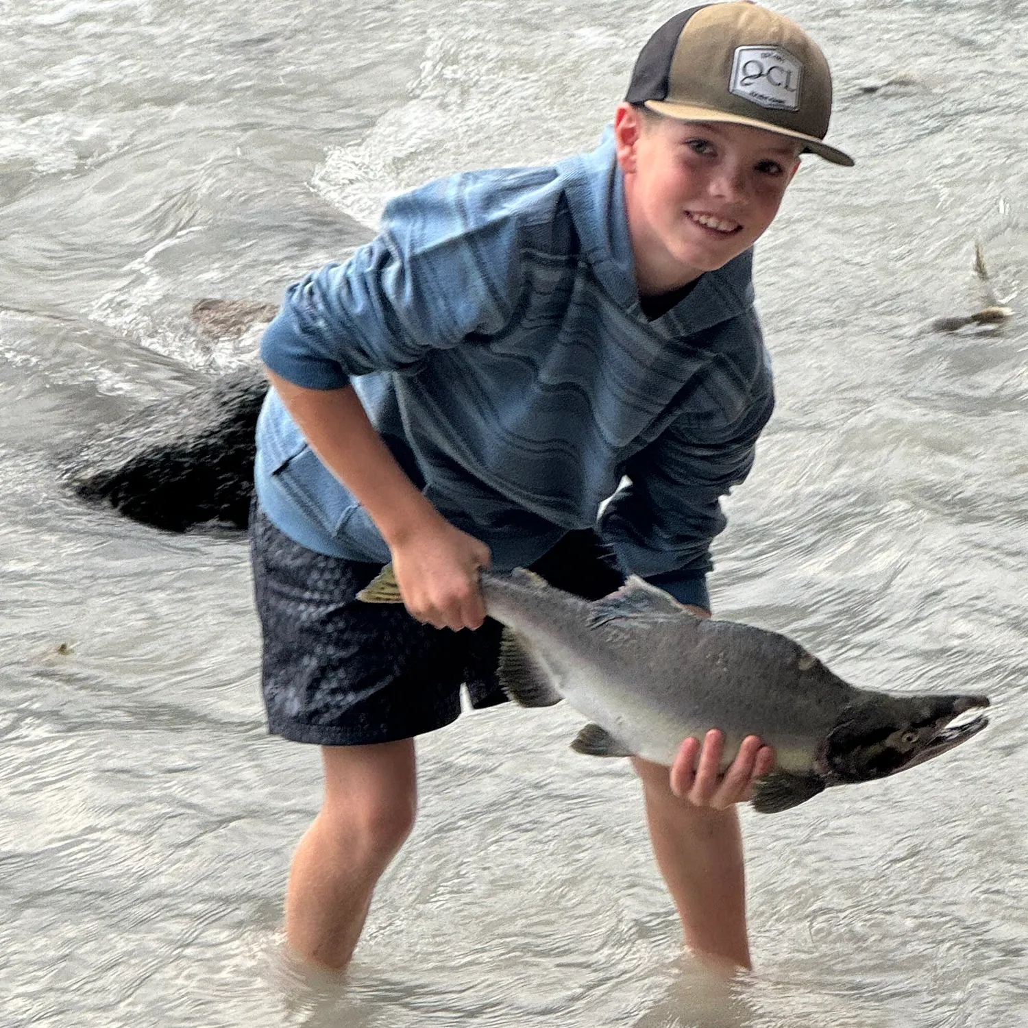 Pink salmon caught on Fishbrain
