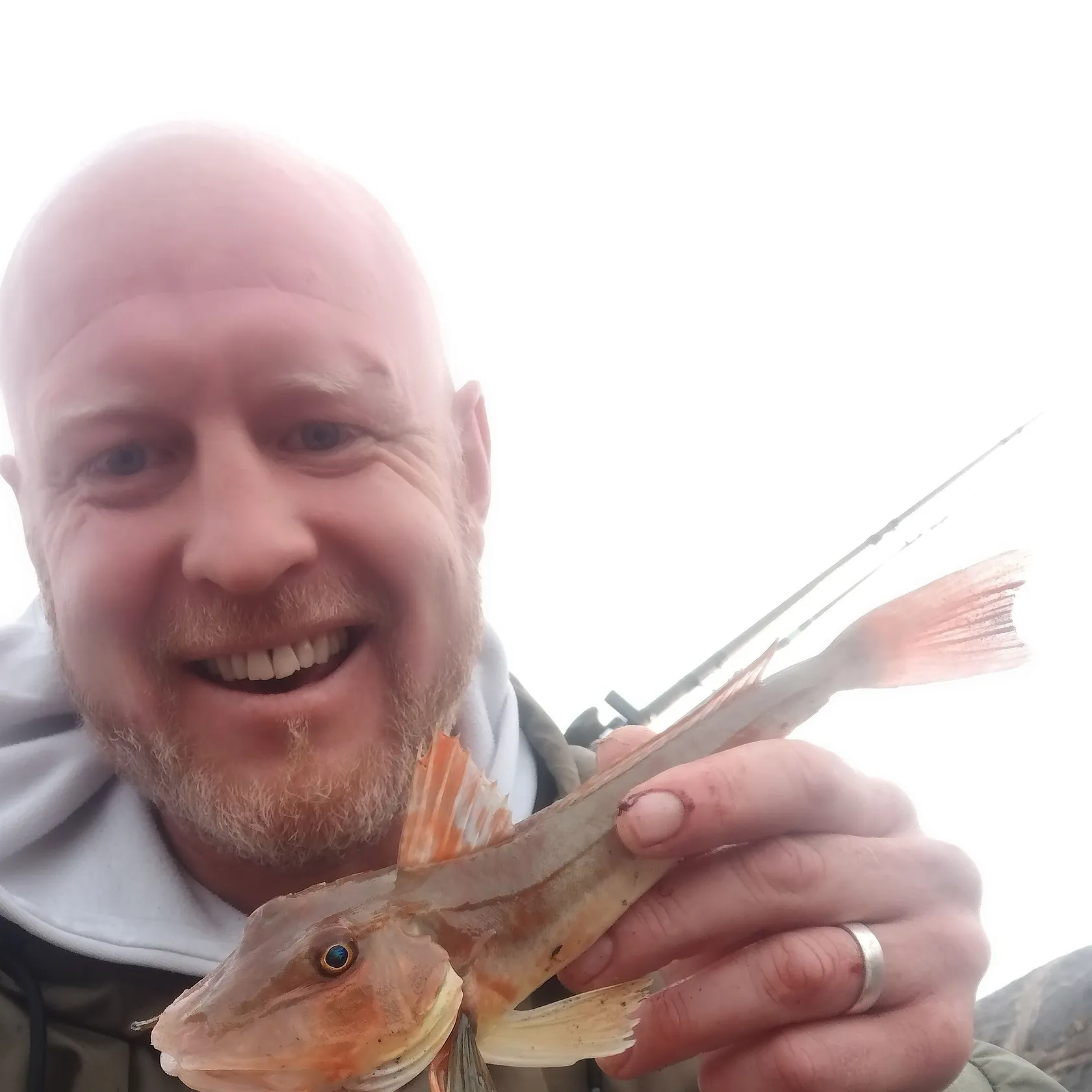 The most recent Tub gurnard catches on Fishbrain