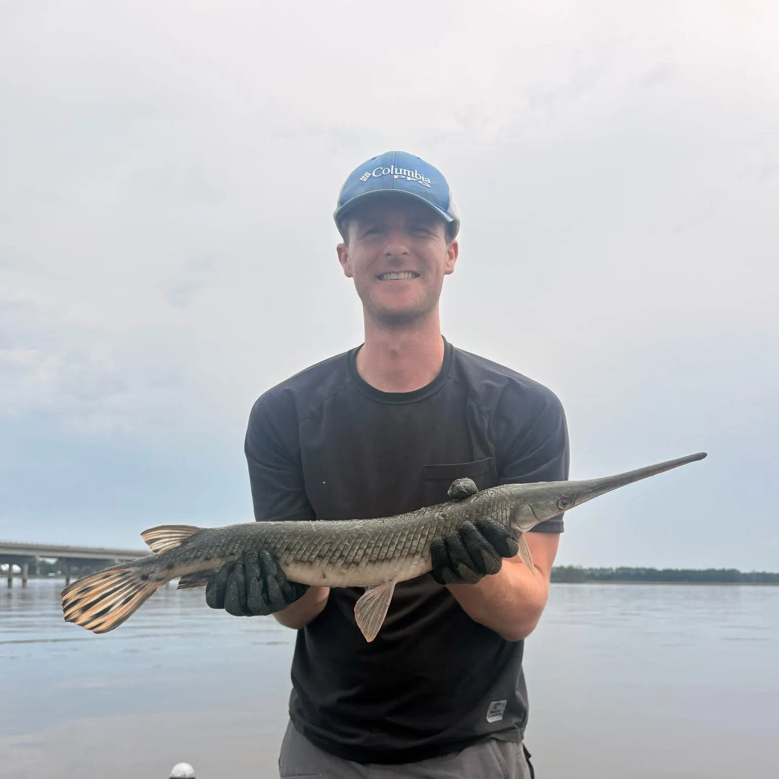 The most recent Longnose gar catches on Fishbrain