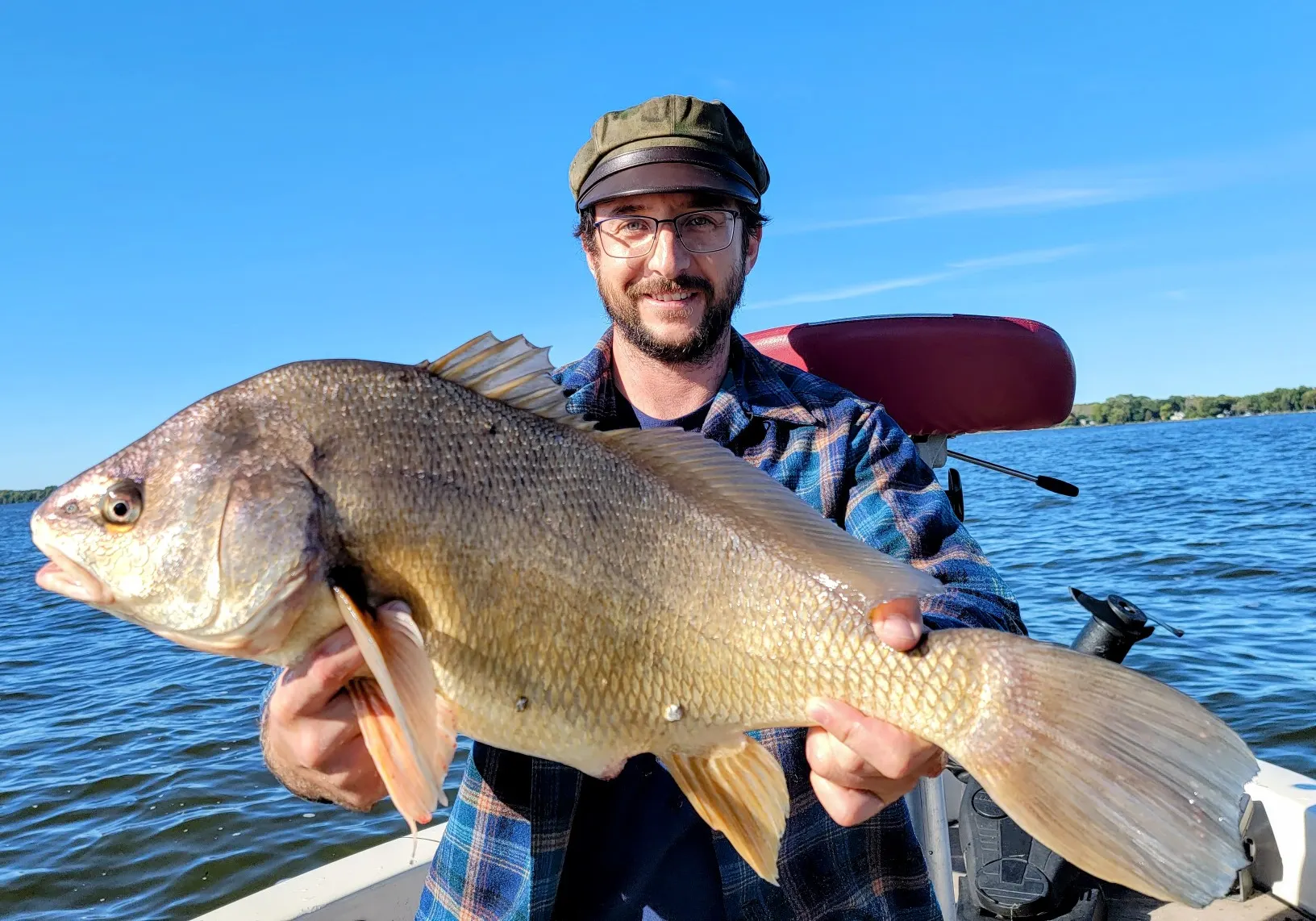 Freshwater drum