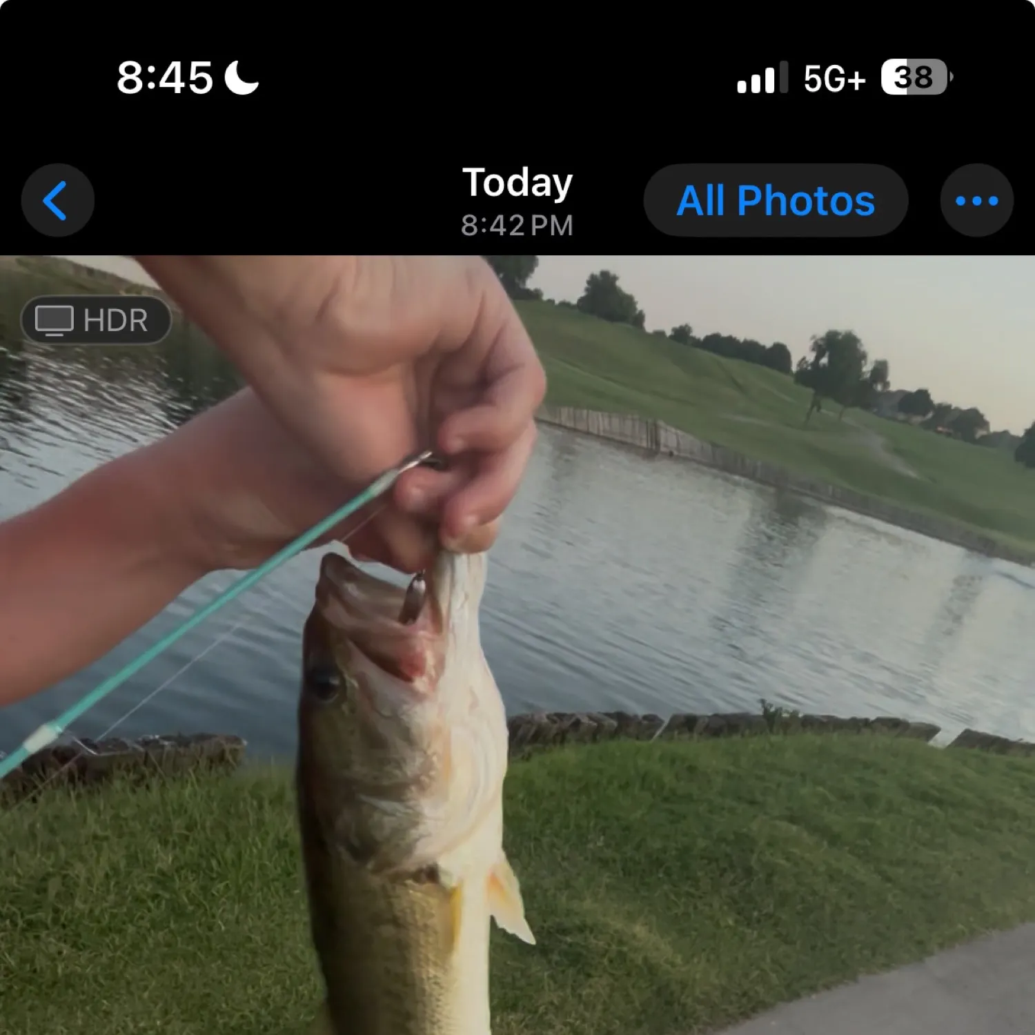 recently logged catches