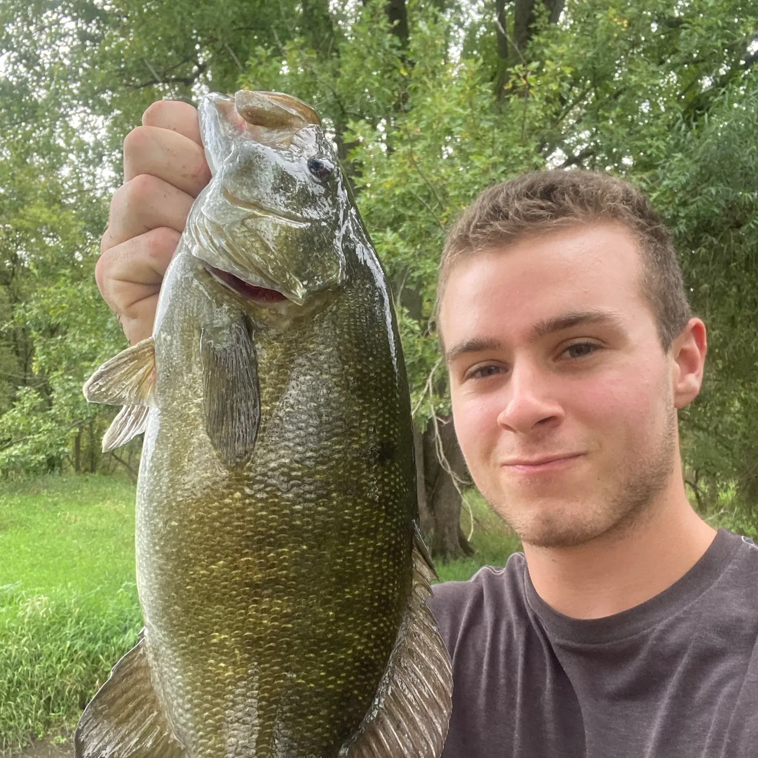 Smallmouth bass caught on Fishbrain