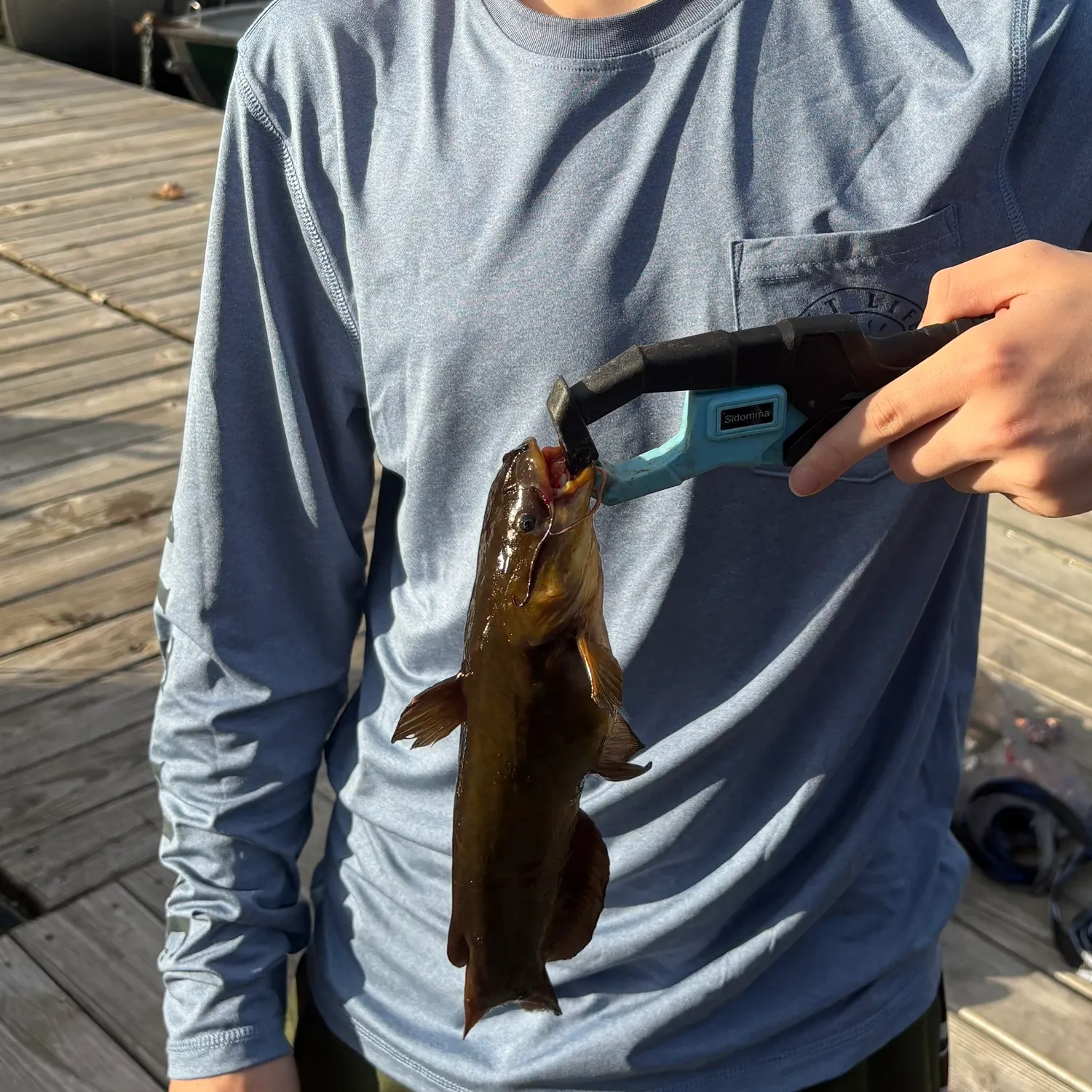 Yellow bullhead caught on Fishbrain