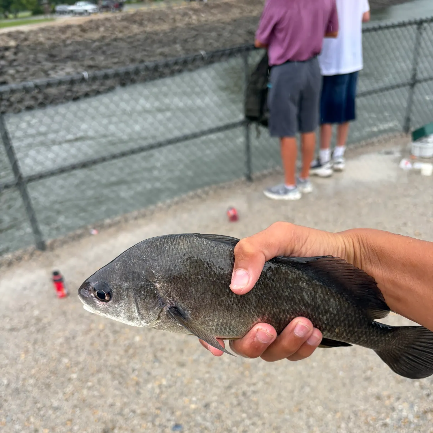 catch