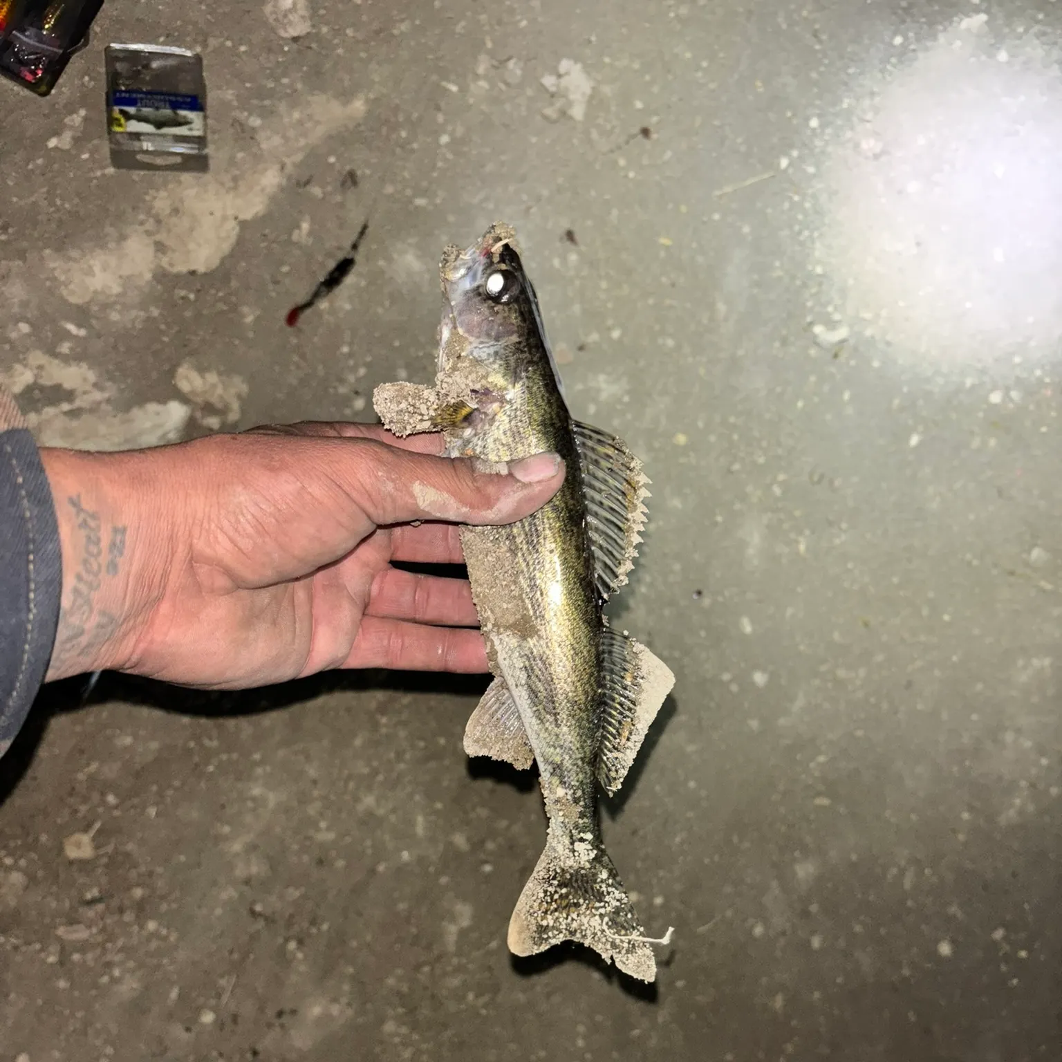 catch