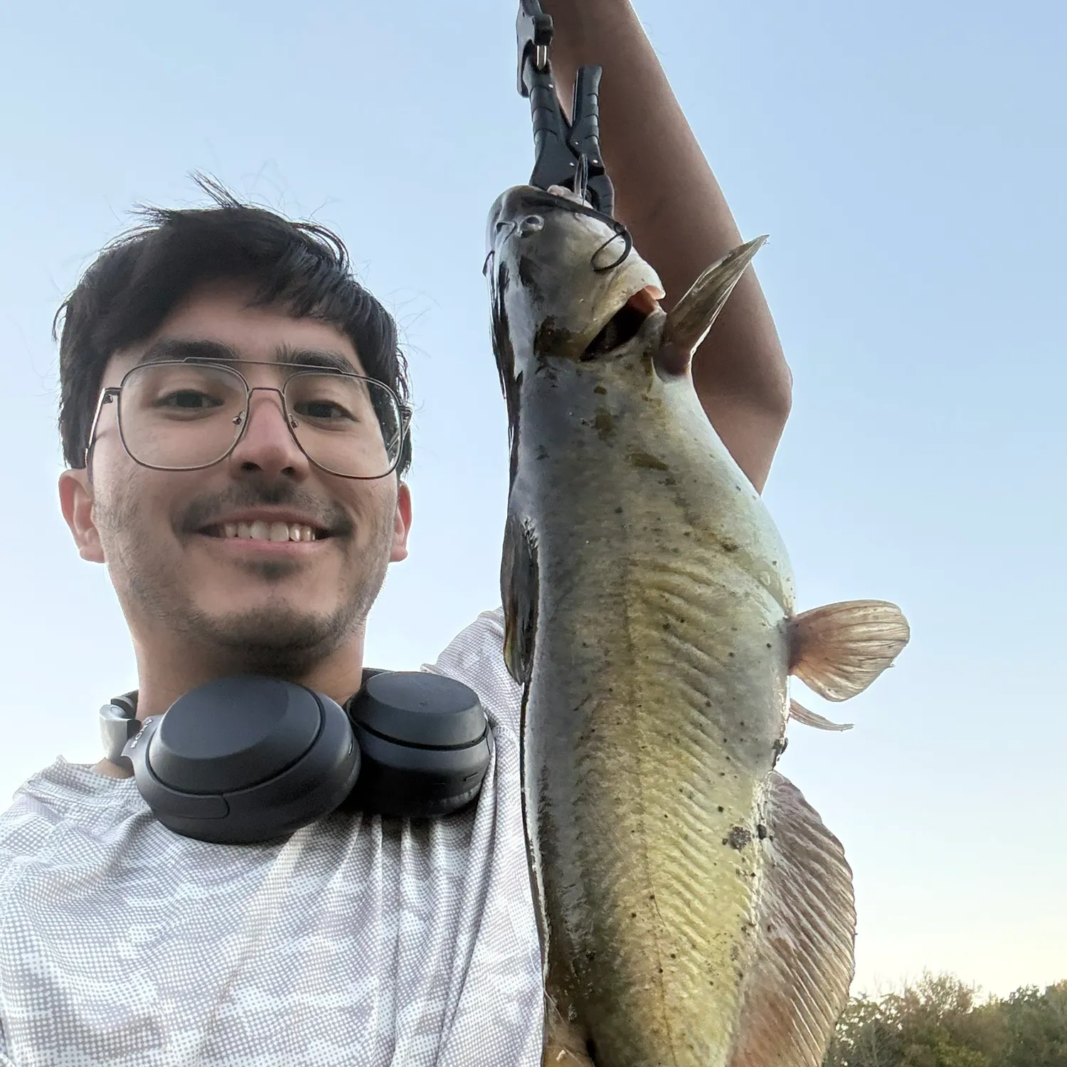 Channel catfish caught on Fishbrain