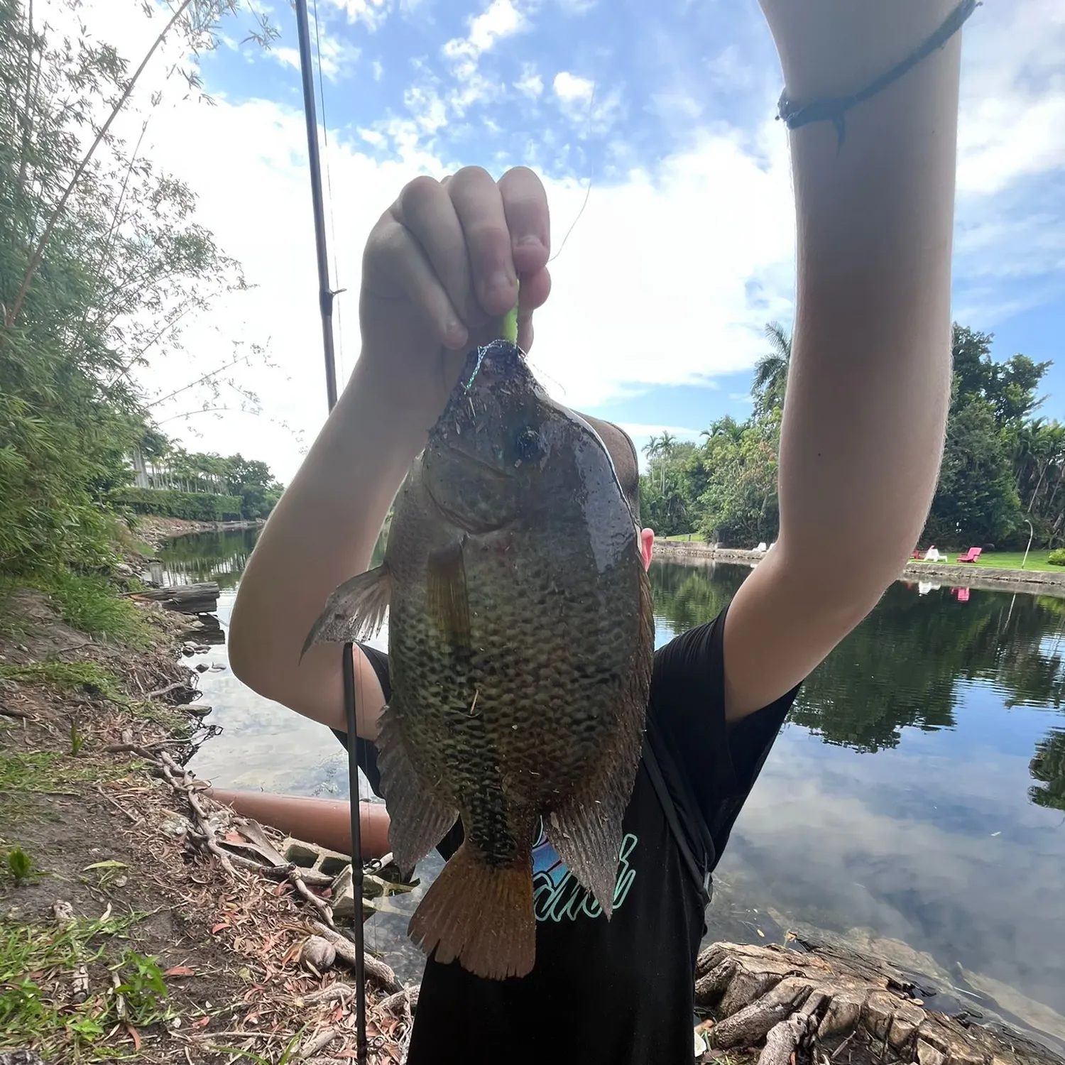most liked catch image