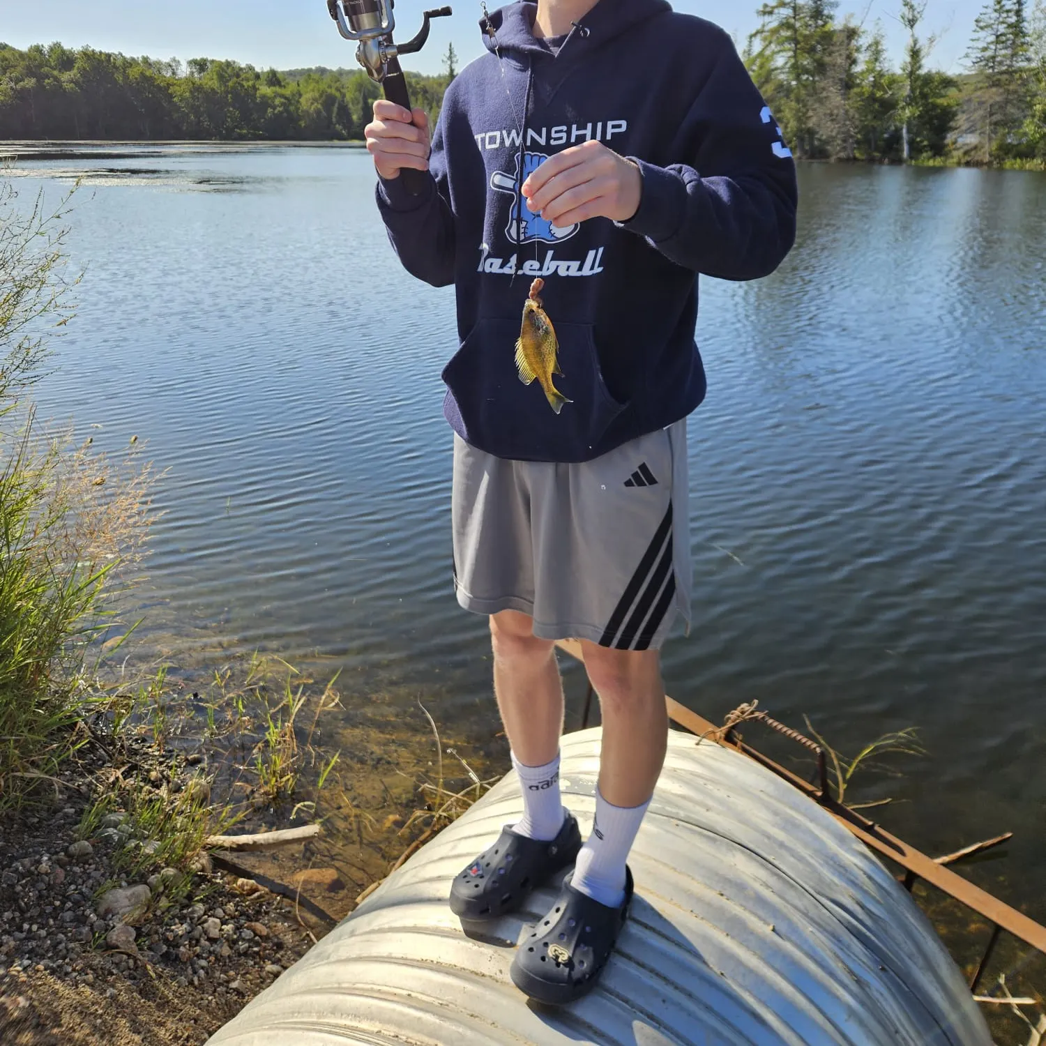 Green sunfish caught on Fishbrain