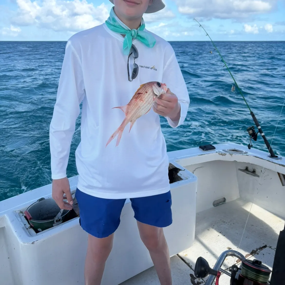 The most recent Vermilion snapper catches on Fishbrain