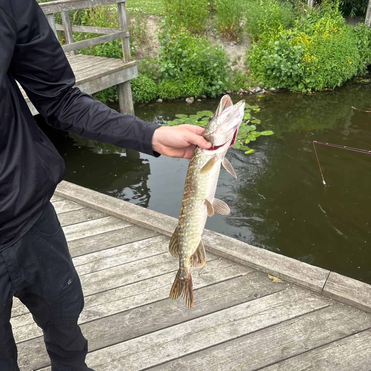 catch