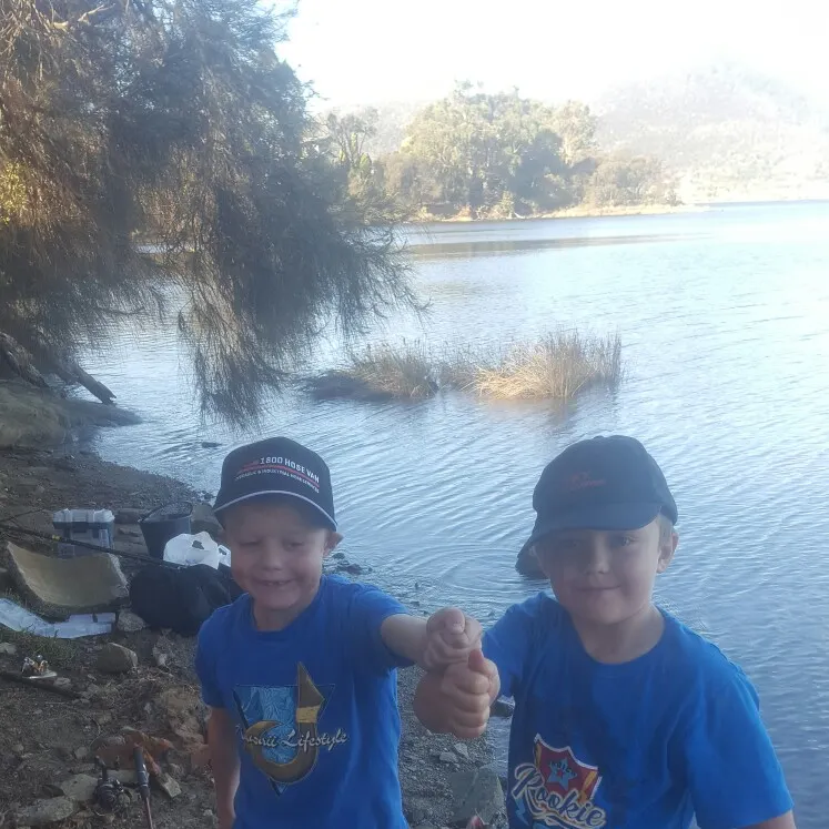 Southern black bream caught on Fishbrain