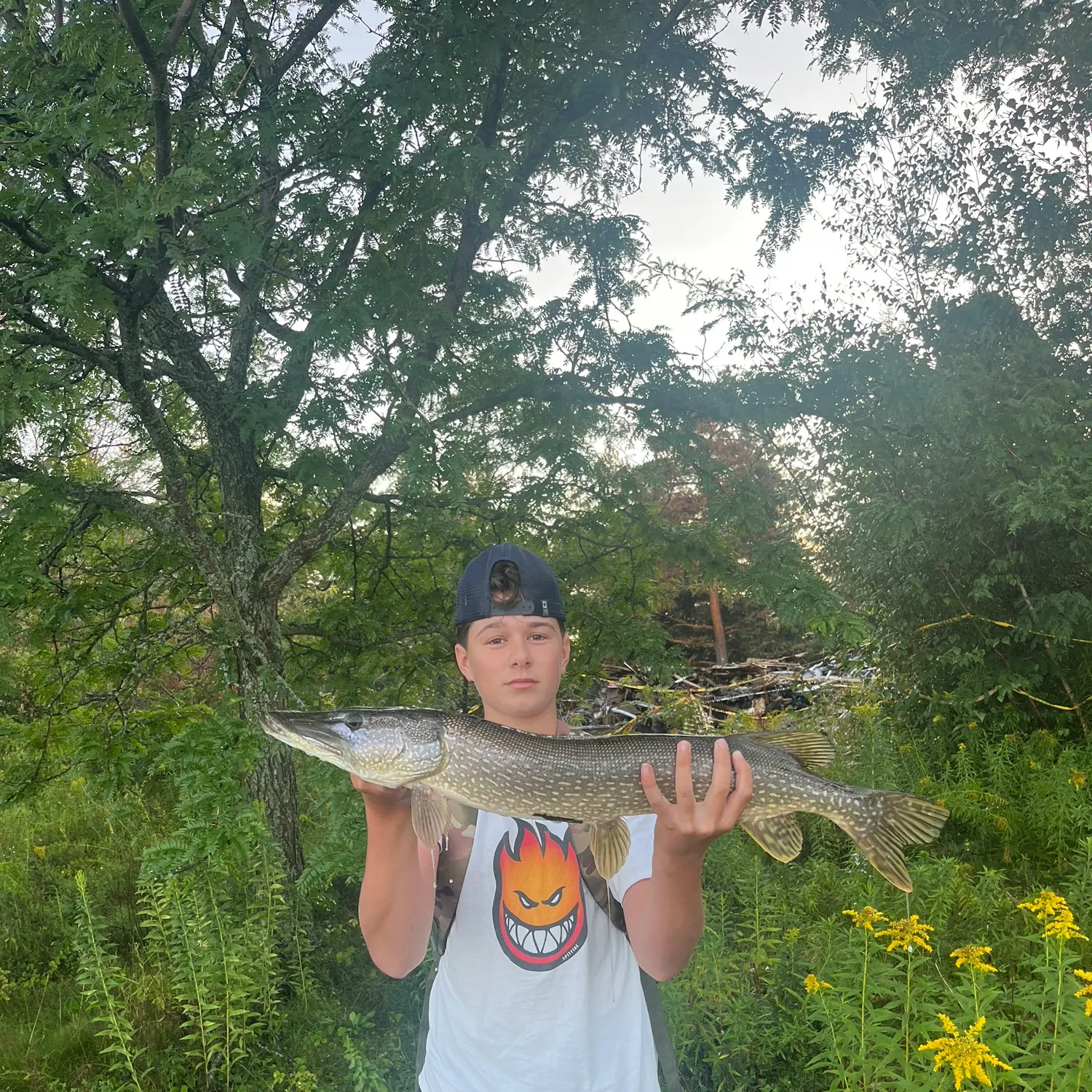 Northern pike caught on Fishbrain