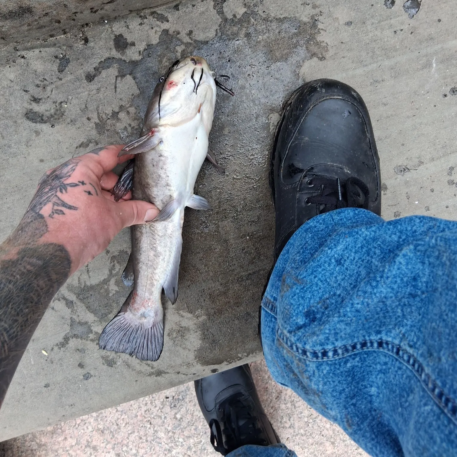 catch