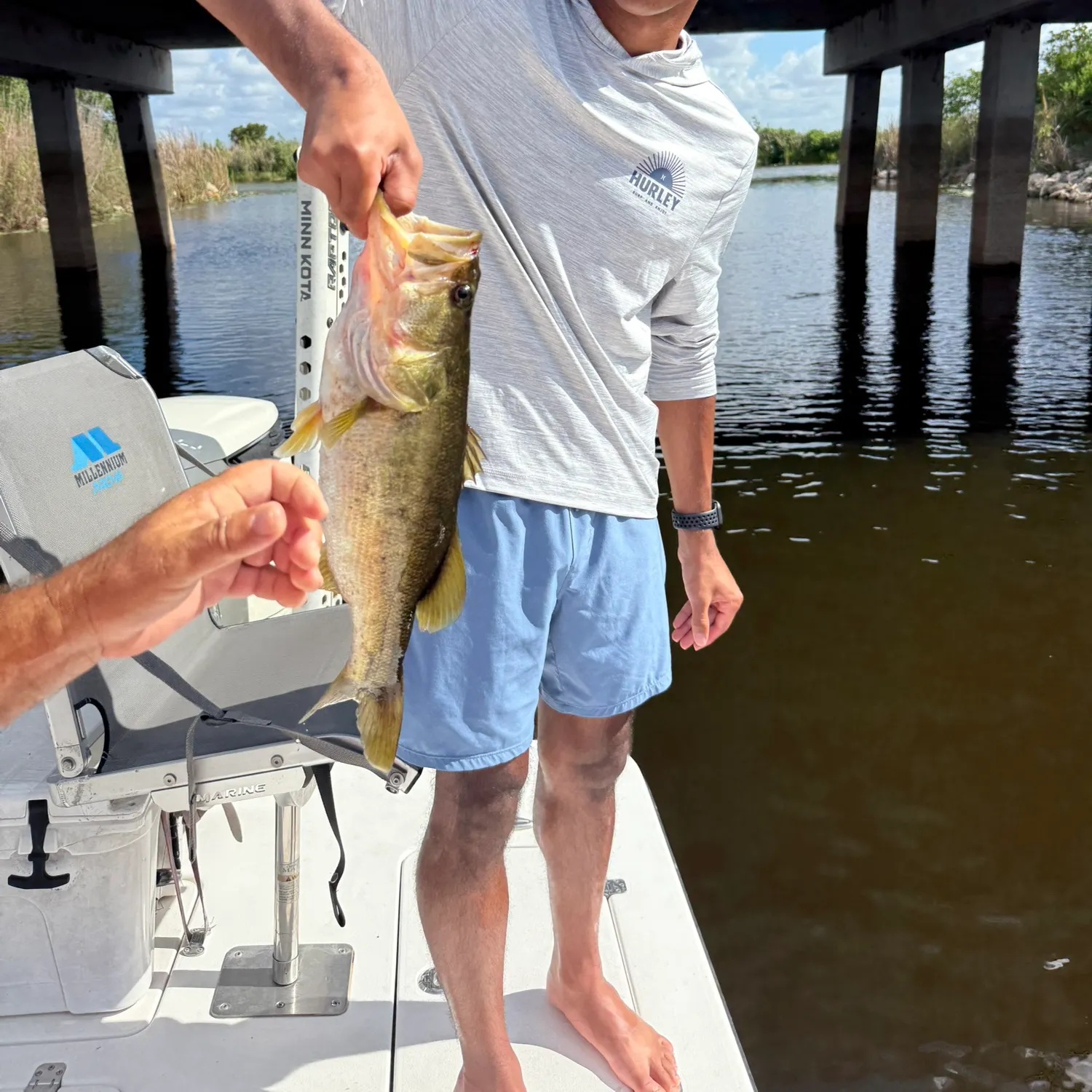 catch