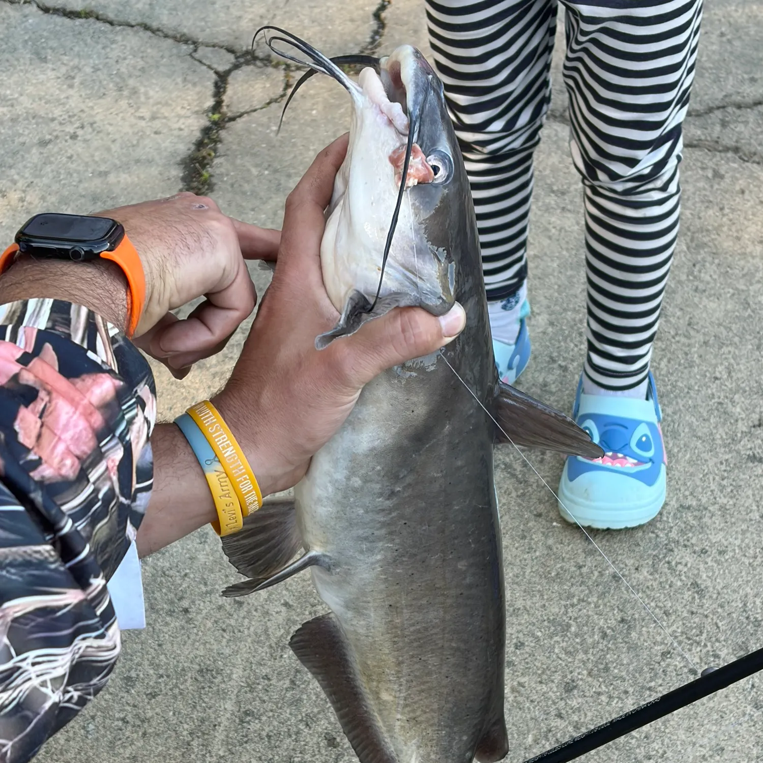 recently logged catches