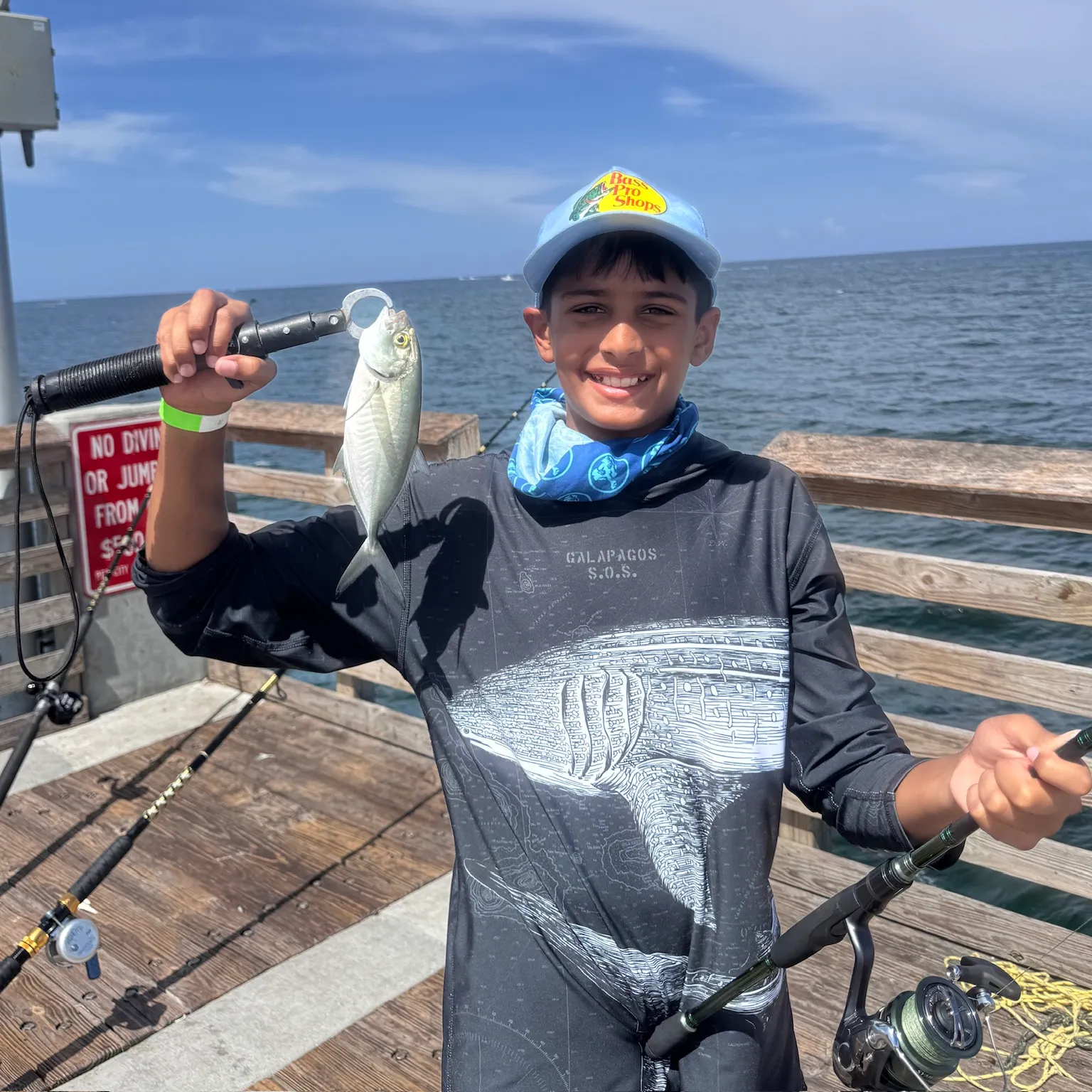 The most recent Blue runner catches on Fishbrain