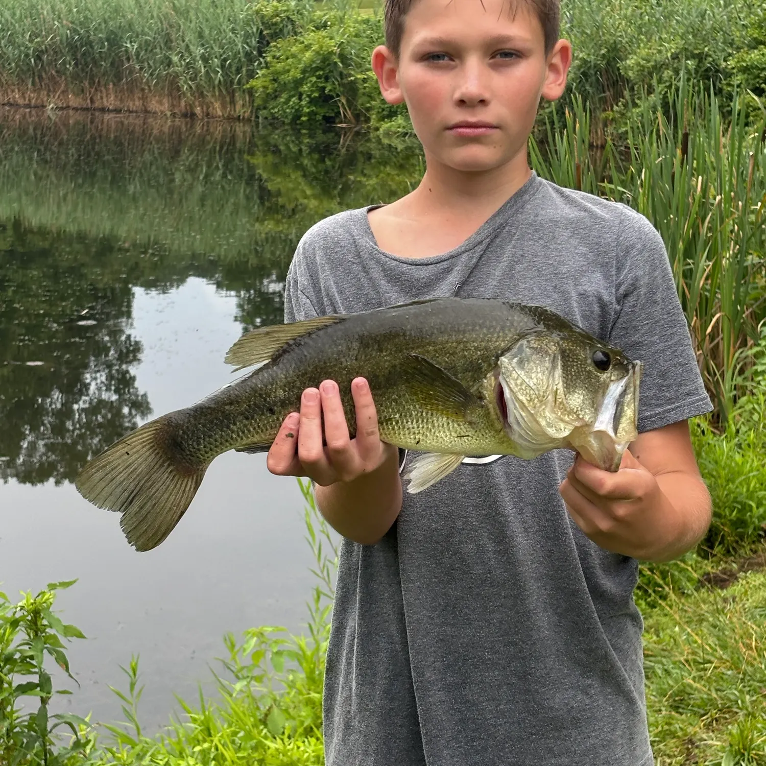 Largemouth bass caught on Fishbrain