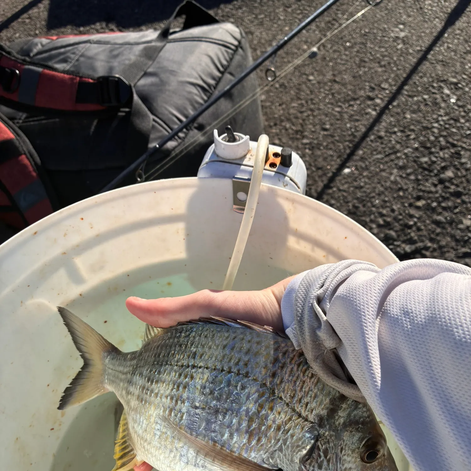 catch