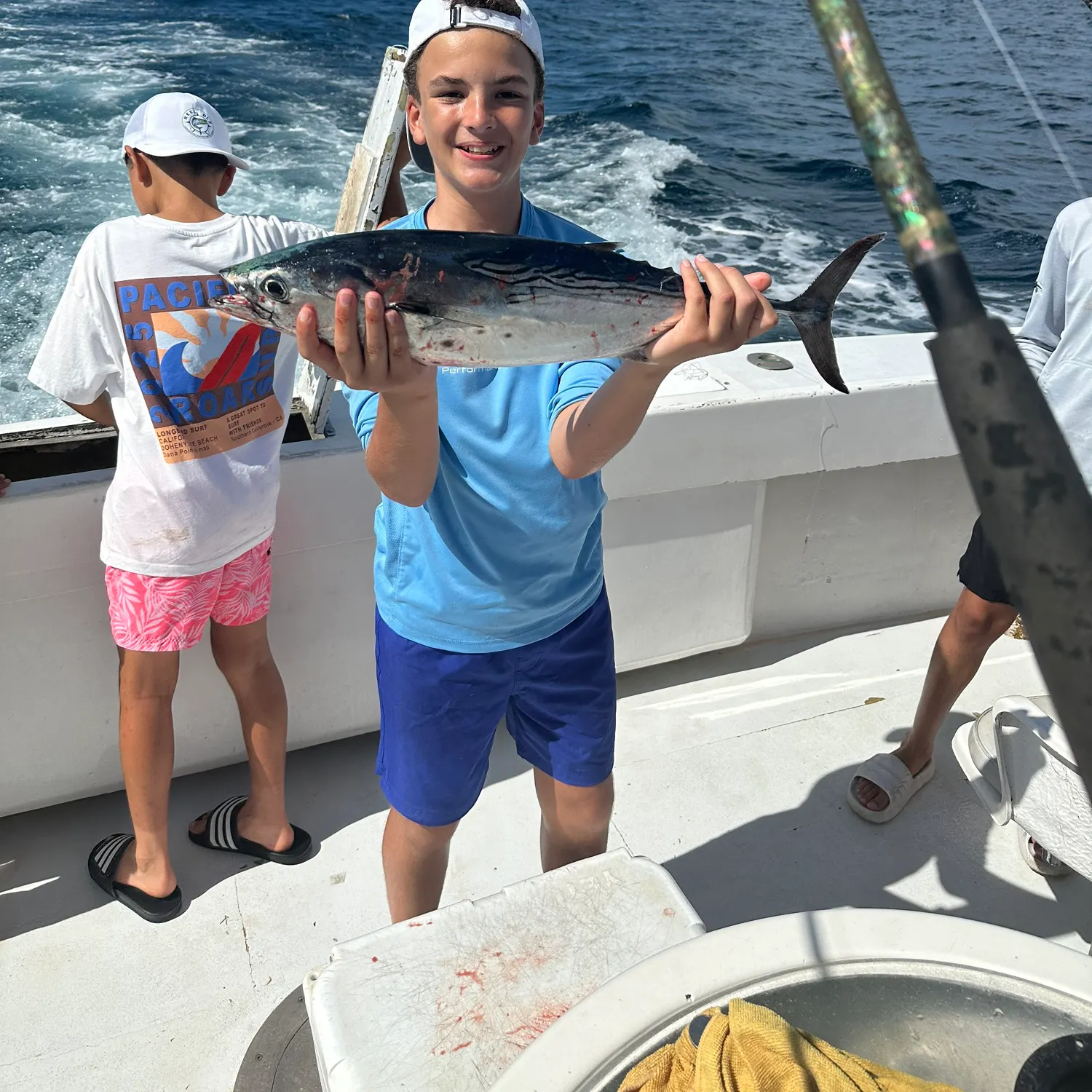 The most recent Little tunny catches on Fishbrain