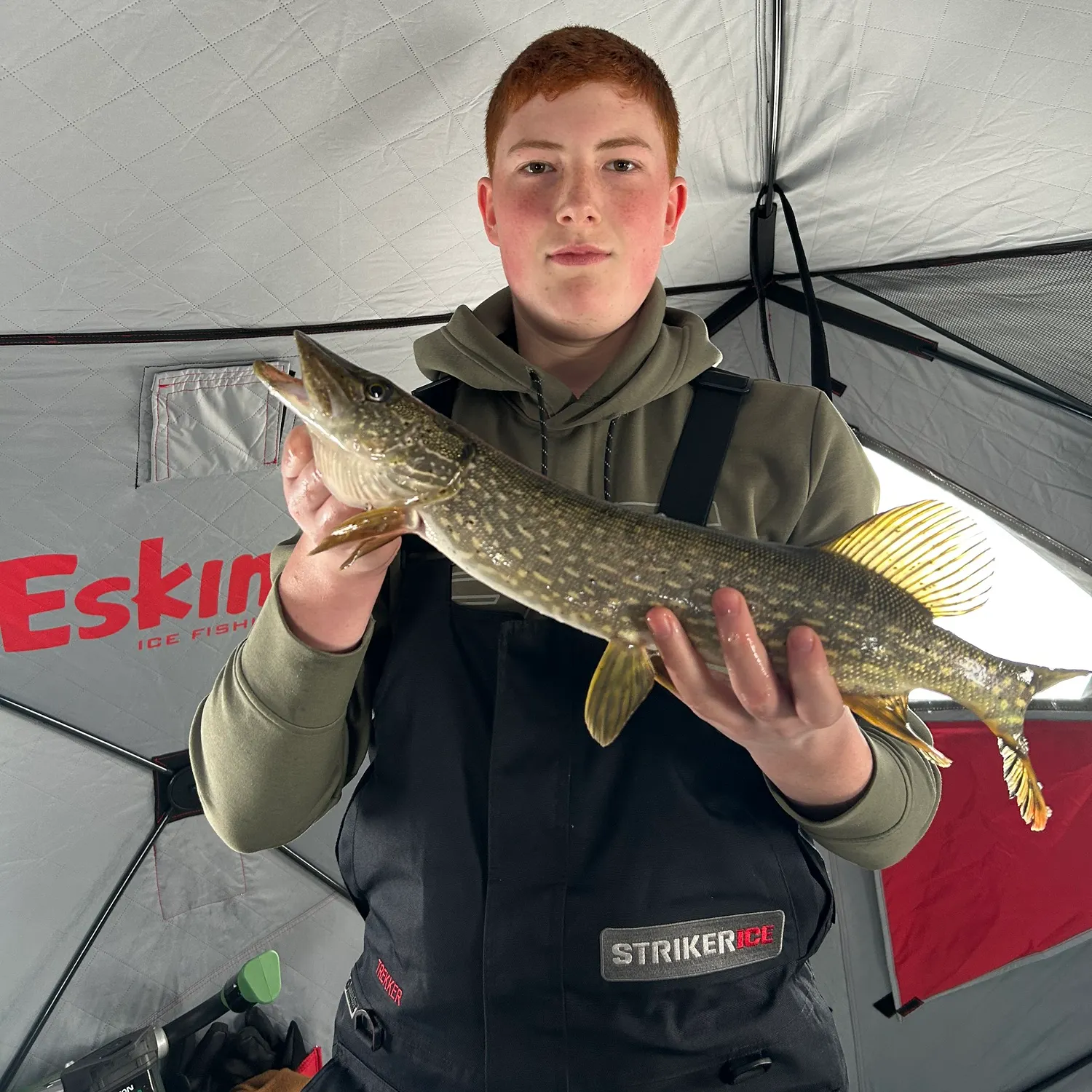 The most recent Northern pike catches on Fishbrain