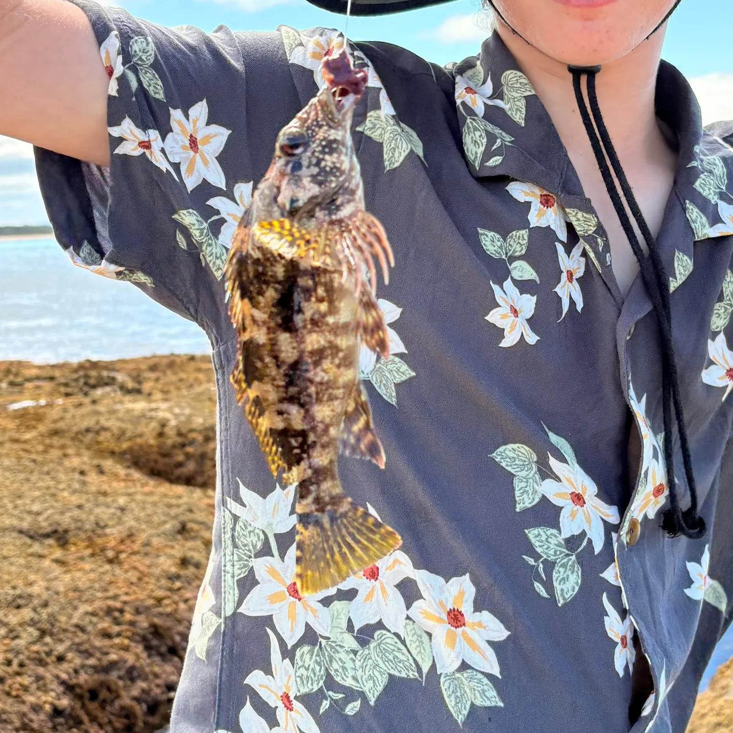 The most recent Eastern kelpfish catches on Fishbrain