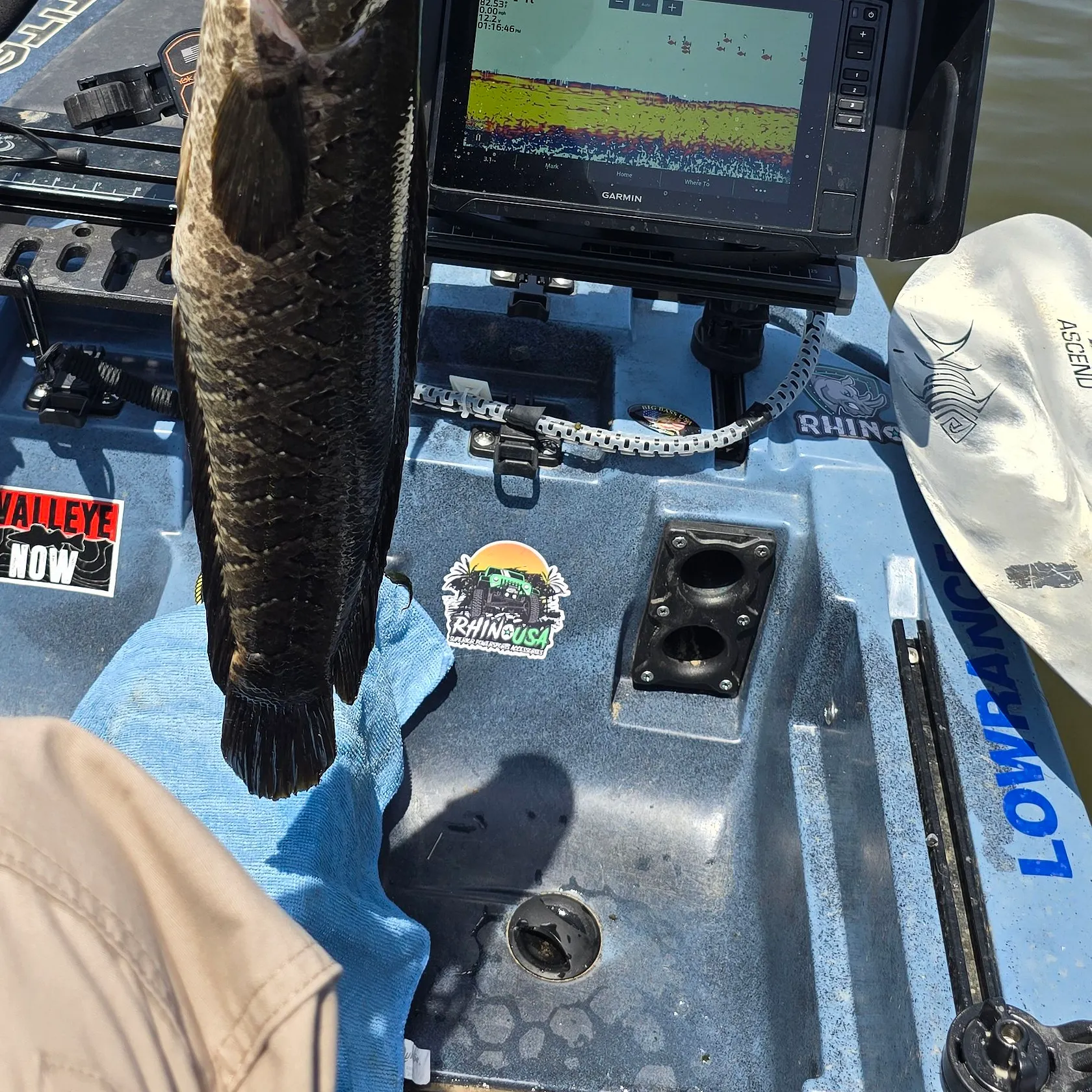 recently logged catches