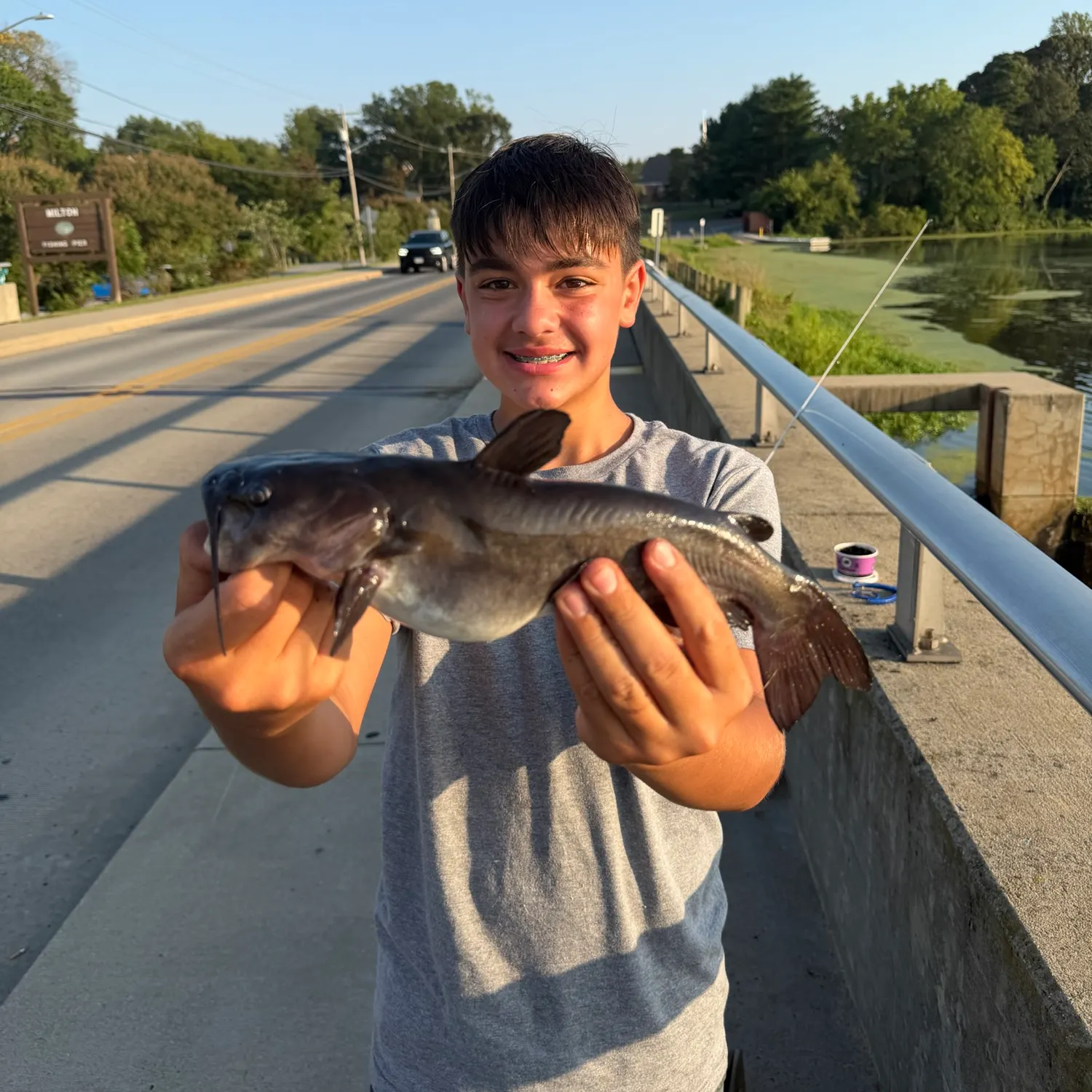 White bullhead caught on Fishbrain