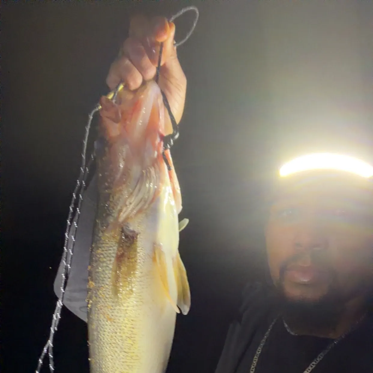 Walleye caught on Fishbrain