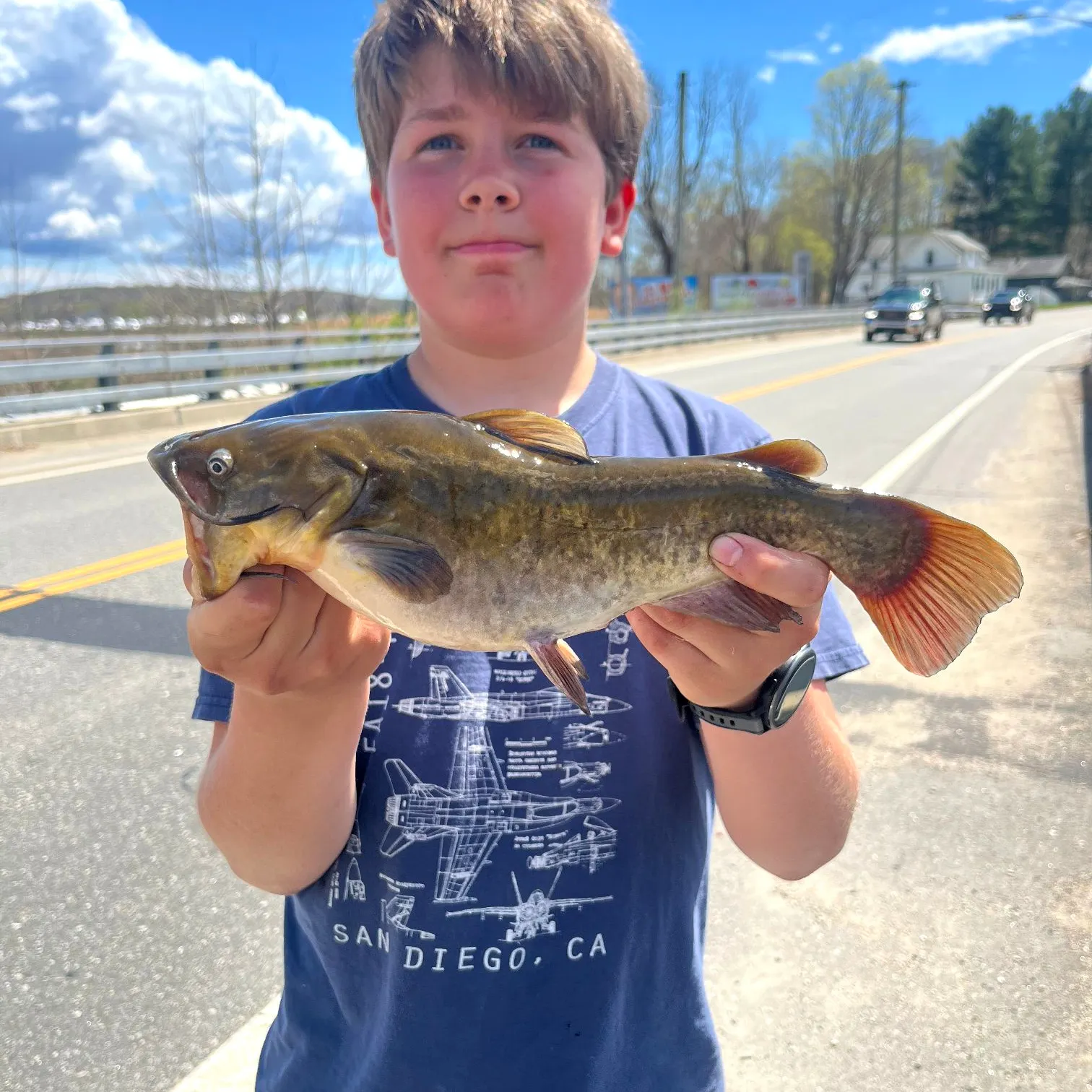 recently logged catches