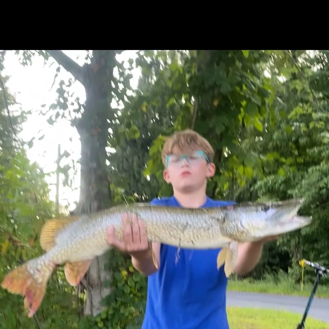 Northern pike caught on Fishbrain