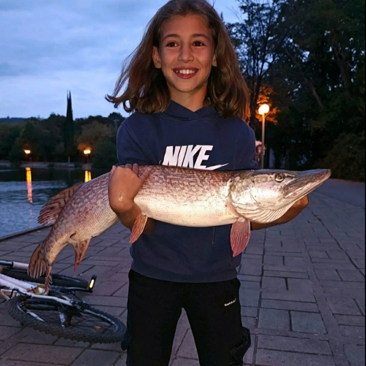 Northern pike caught on Fishbrain