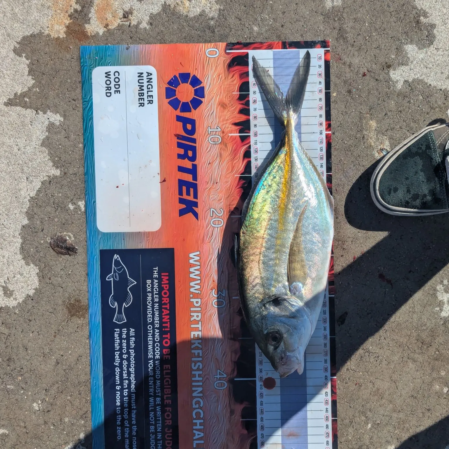 The most recent White trevally catches on Fishbrain