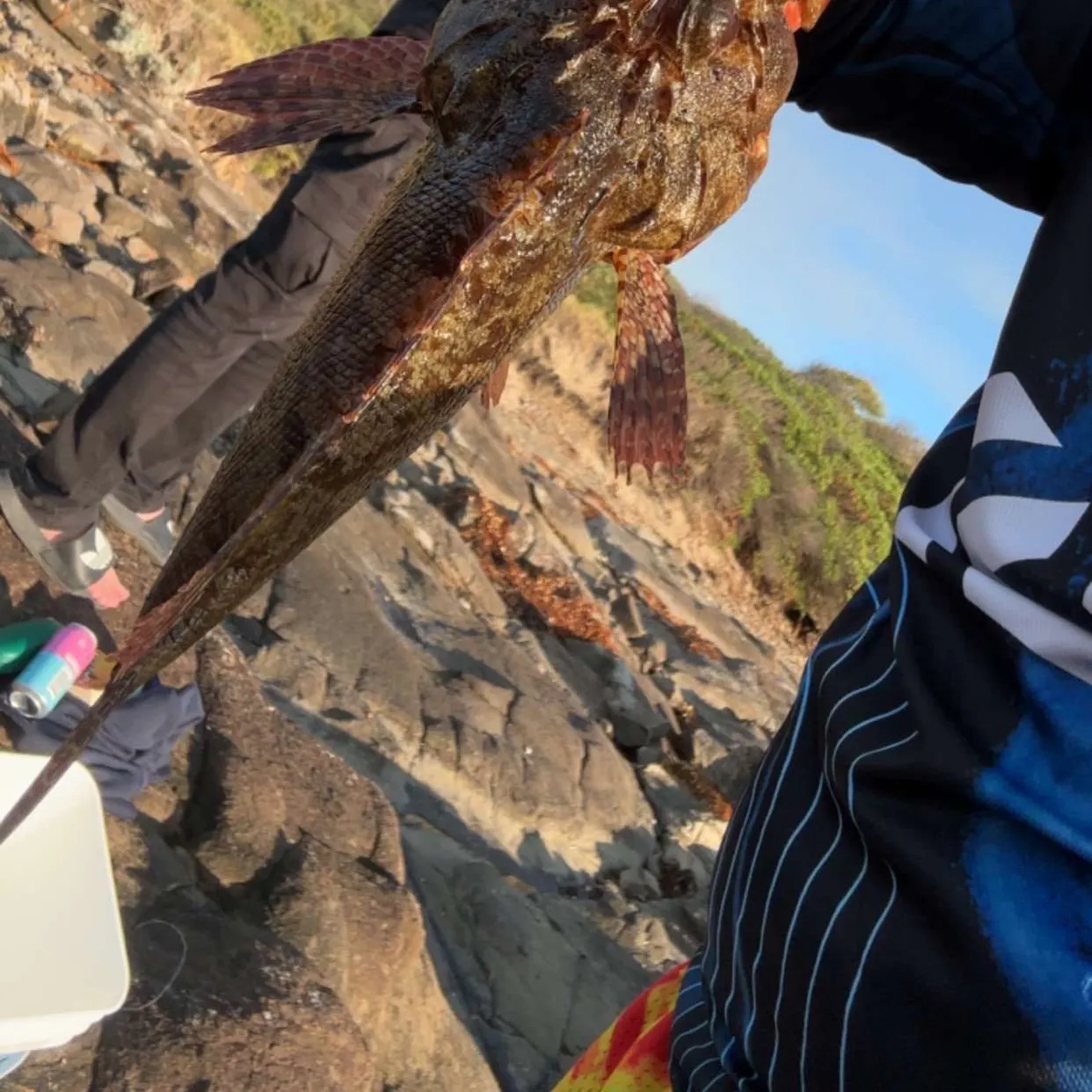 The most recent Eastern red scorpionfish catches on Fishbrain