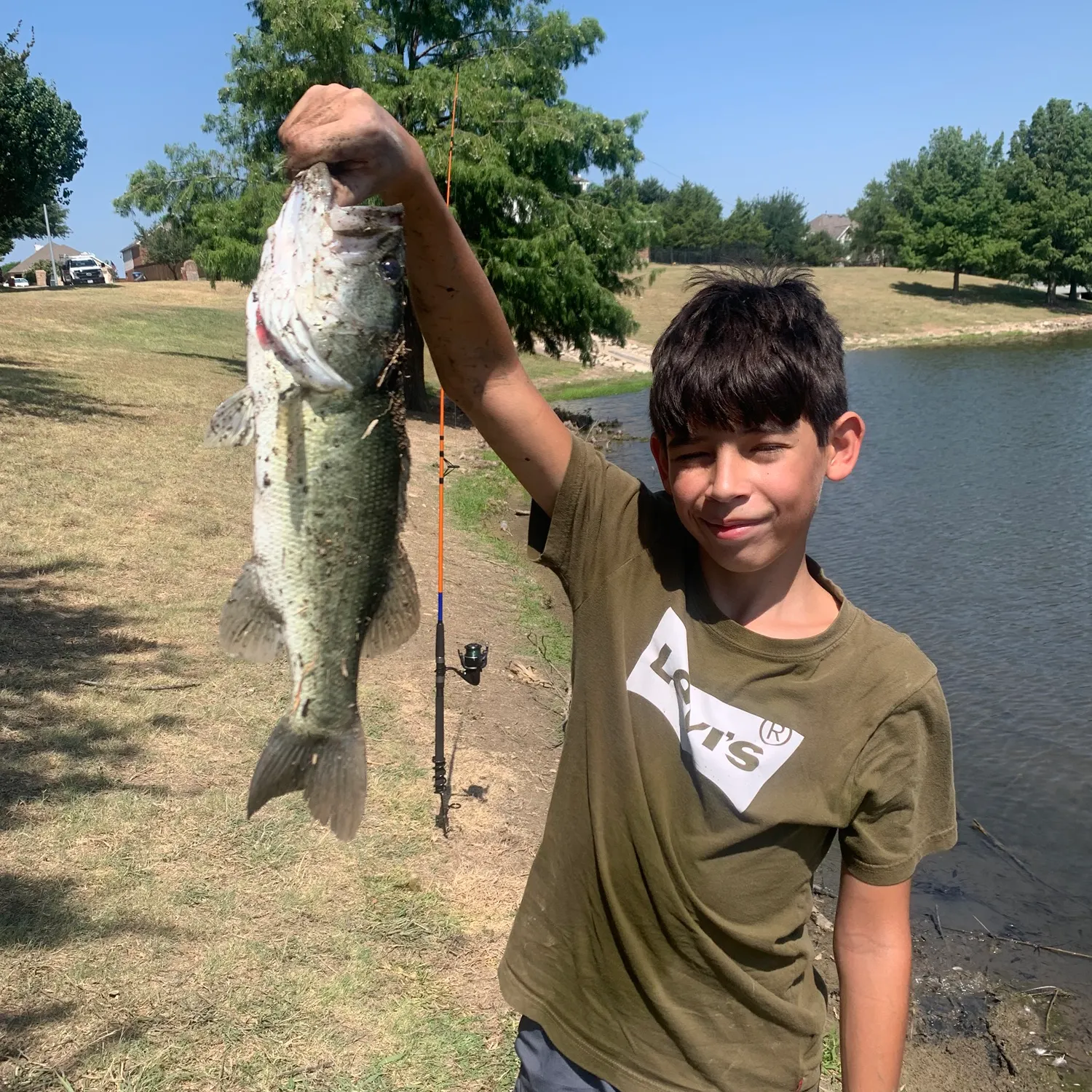 Largemouth bass caught on Fishbrain