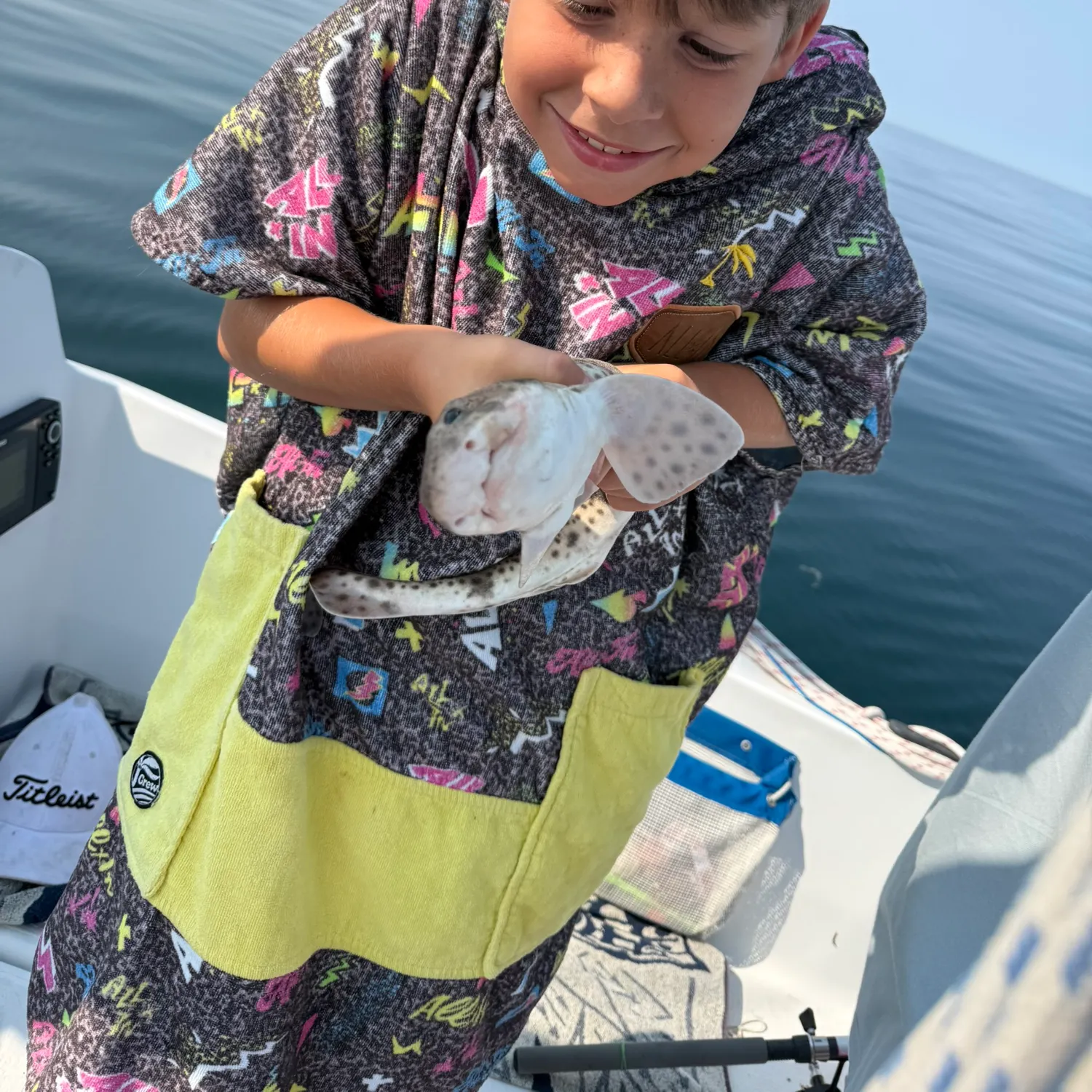 The most recent Yellowspotted catshark catches on Fishbrain