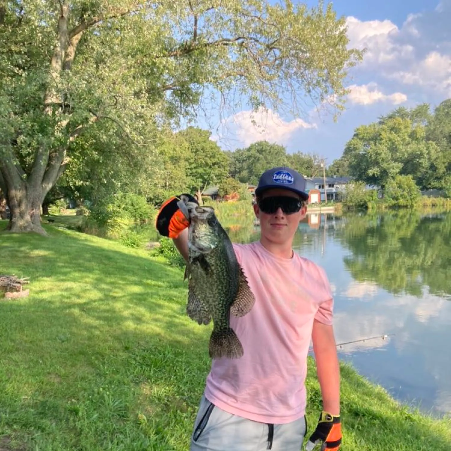 Black crappie caught on Fishbrain