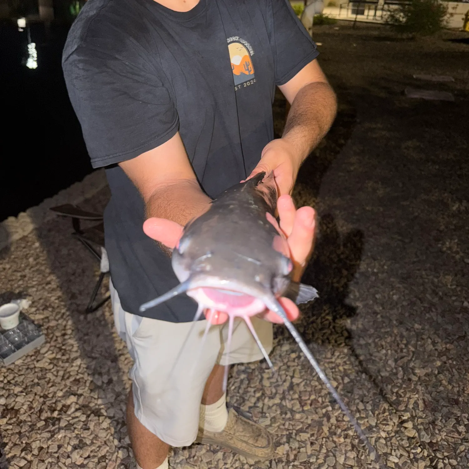 Channel catfish caught on Fishbrain