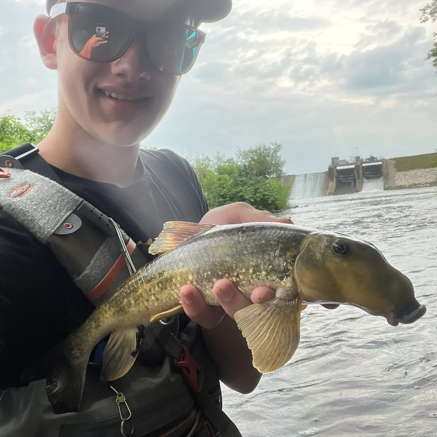 The most recent Northern hogsucker catches on Fishbrain