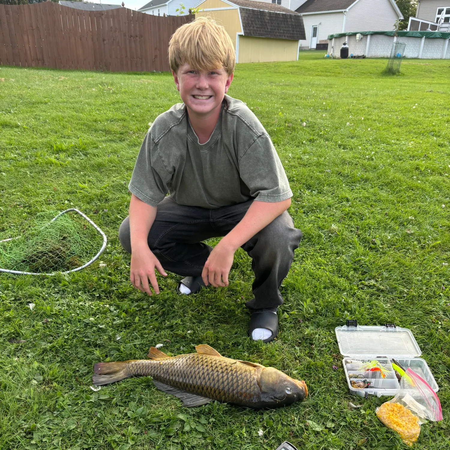 Common carp caught on Fishbrain