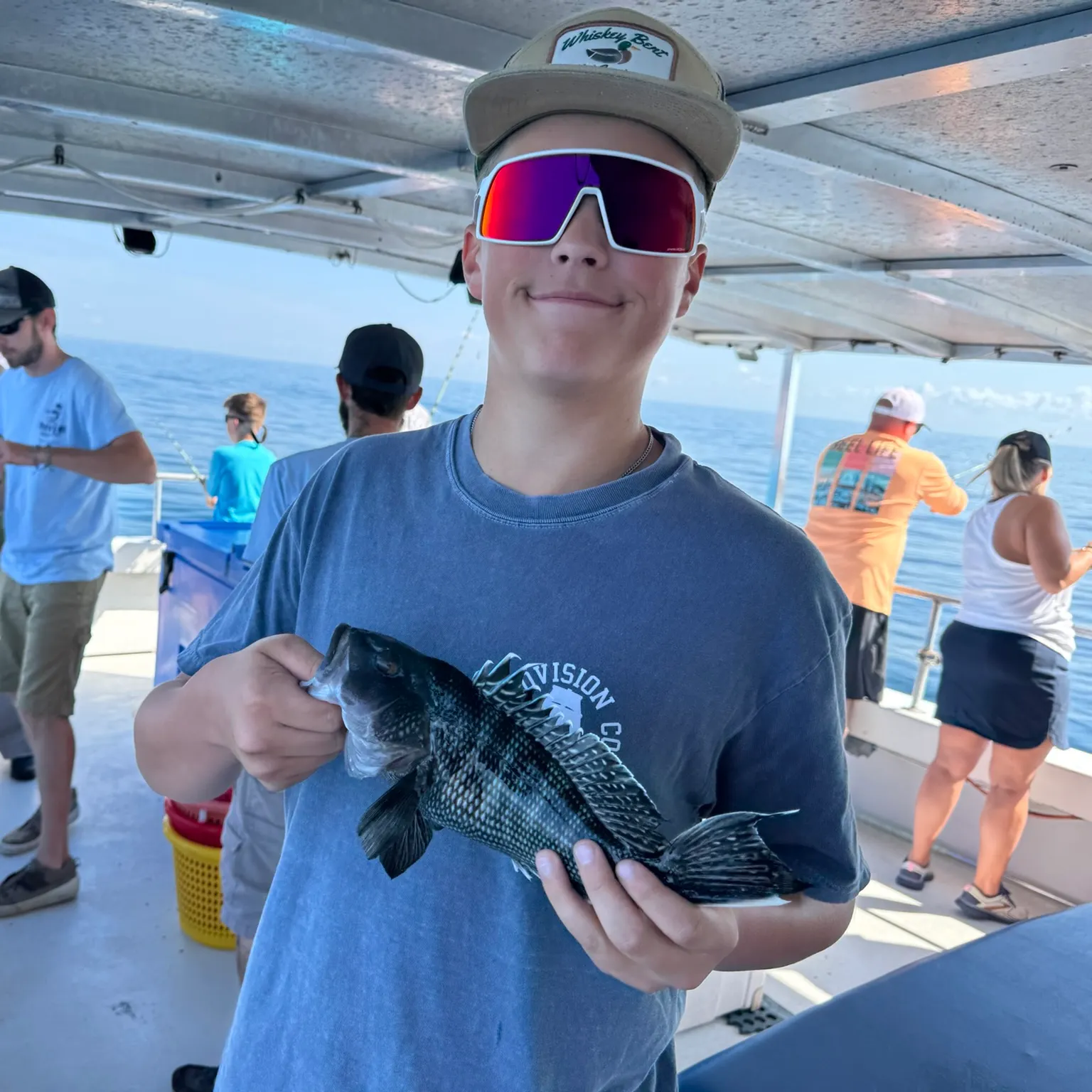 The most recent Black sea bass catches on Fishbrain
