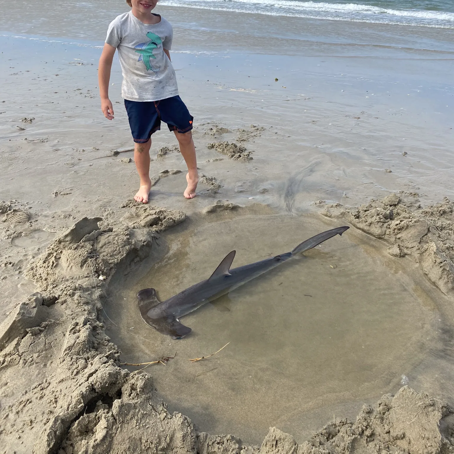 The most recent Scalloped hammerhead shark catches on Fishbrain