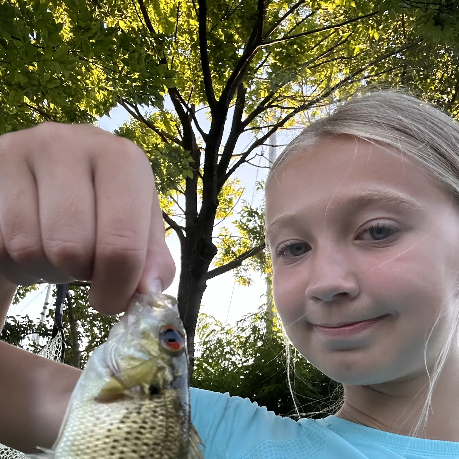 The most recent Rock bass catches on Fishbrain