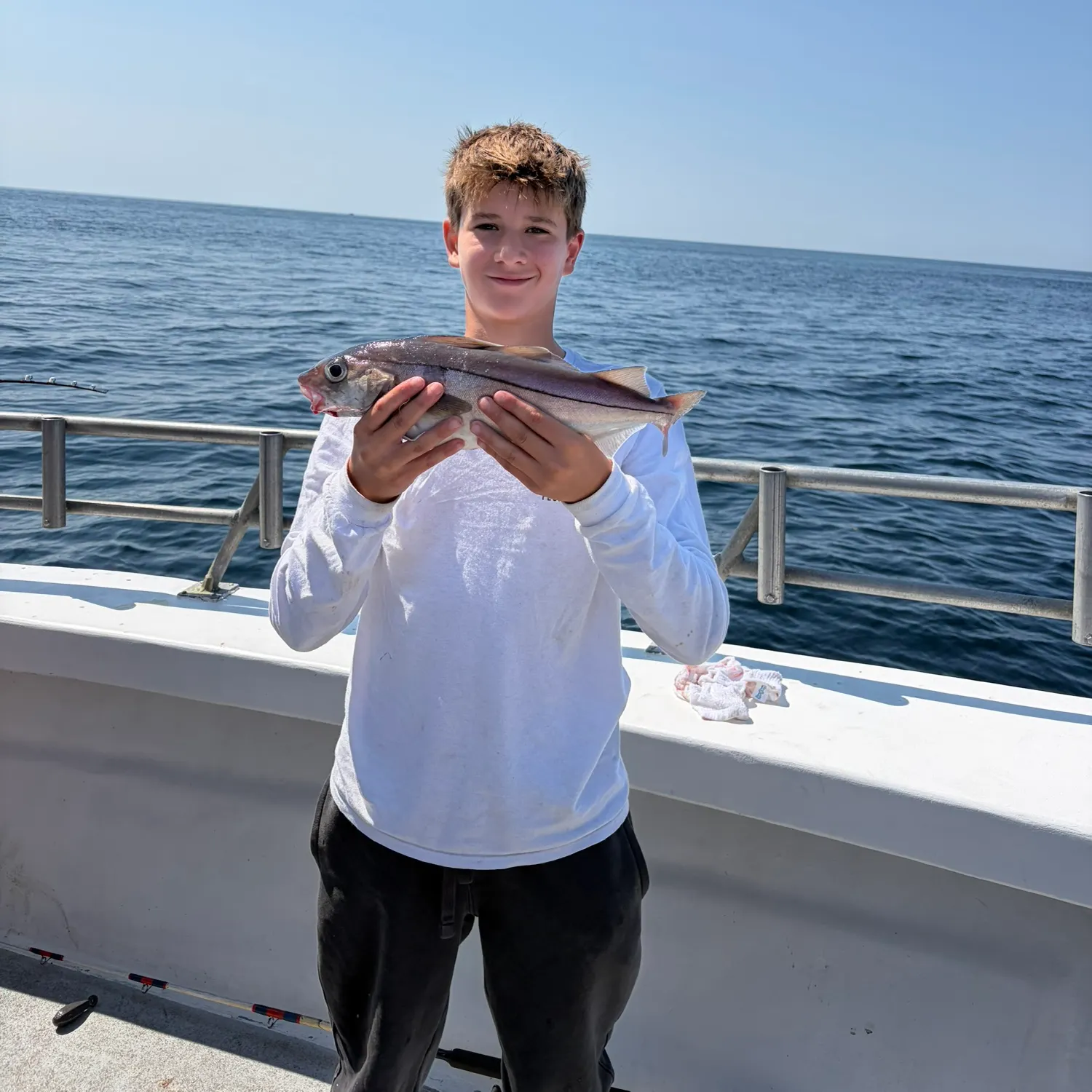 The most recent Haddock catches on Fishbrain