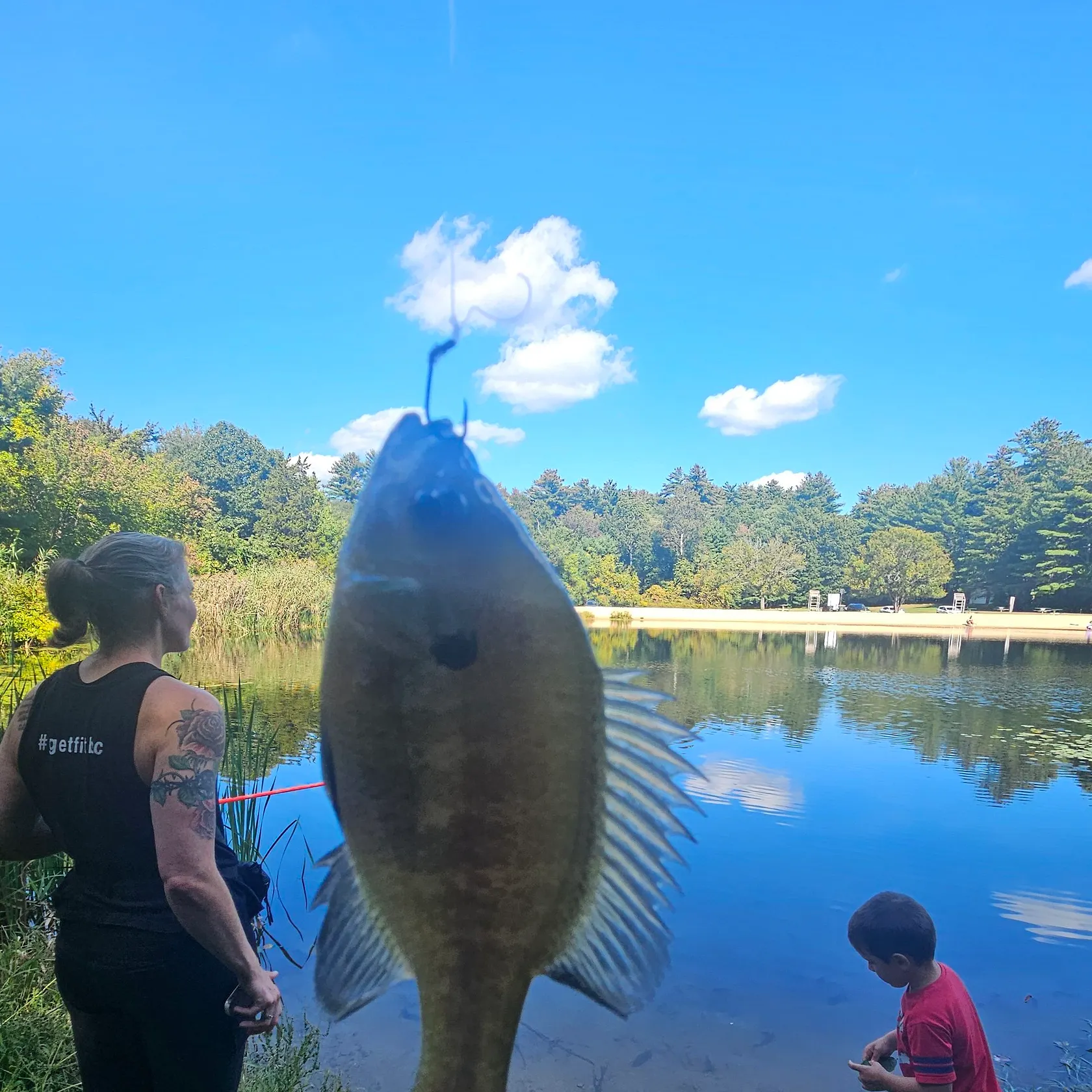 Bluegill caught on Fishbrain