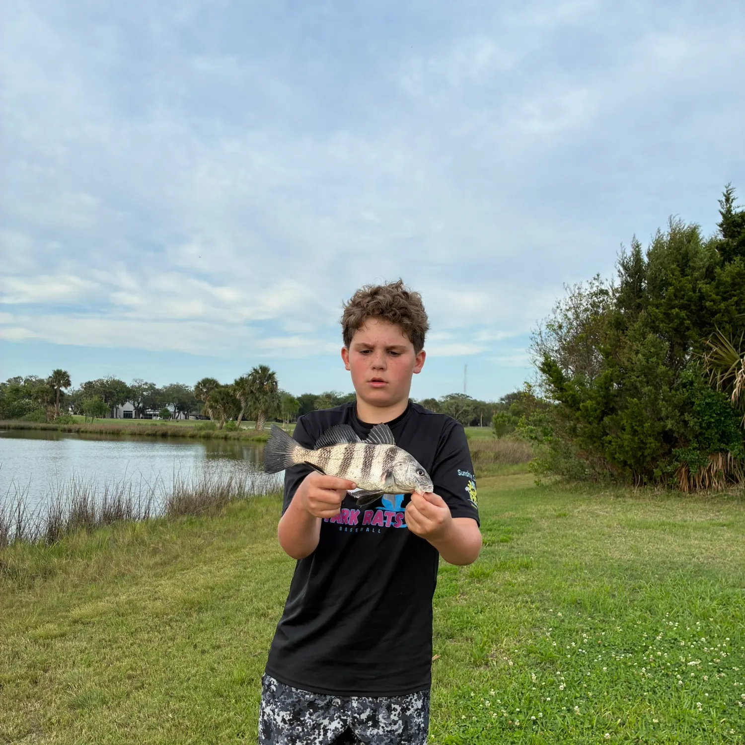 Black drum caught on Fishbrain