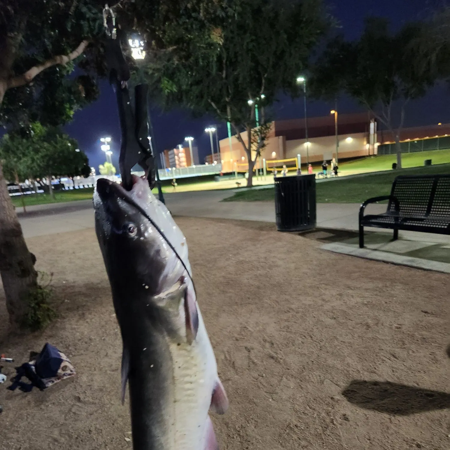 catch